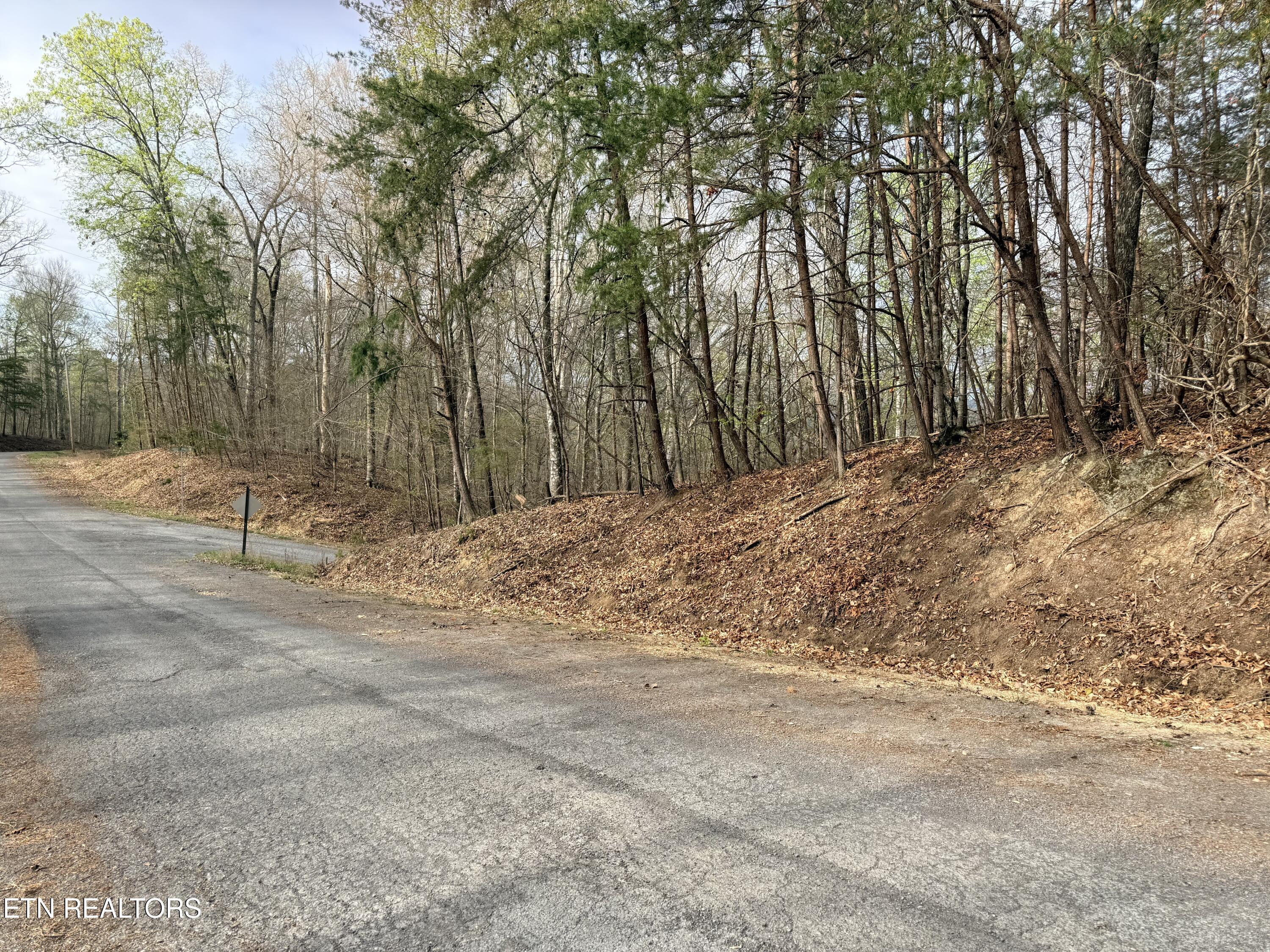 Norris Lake Real Estate - Image# 4
