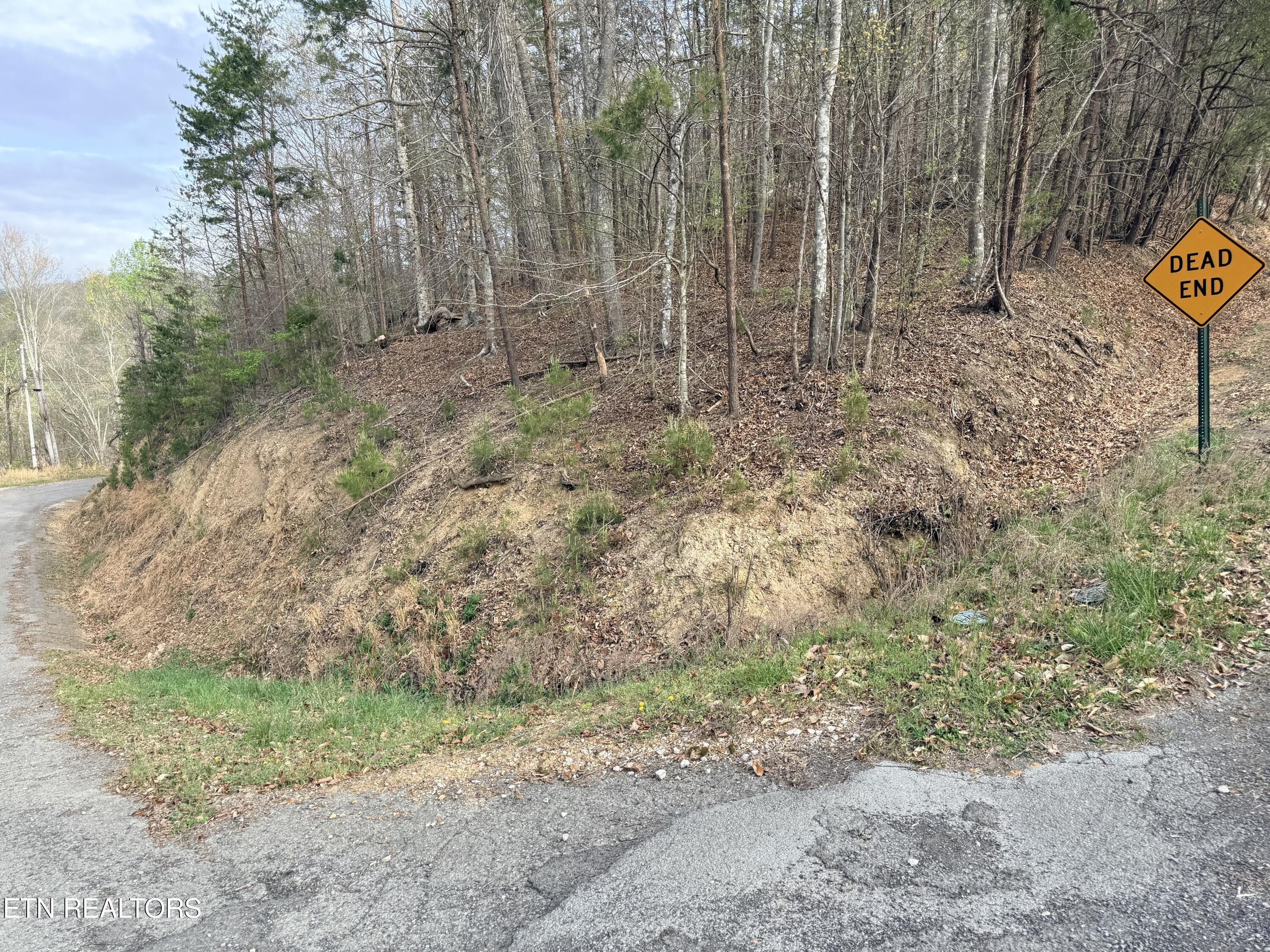 Norris Lake Real Estate - Image# 2