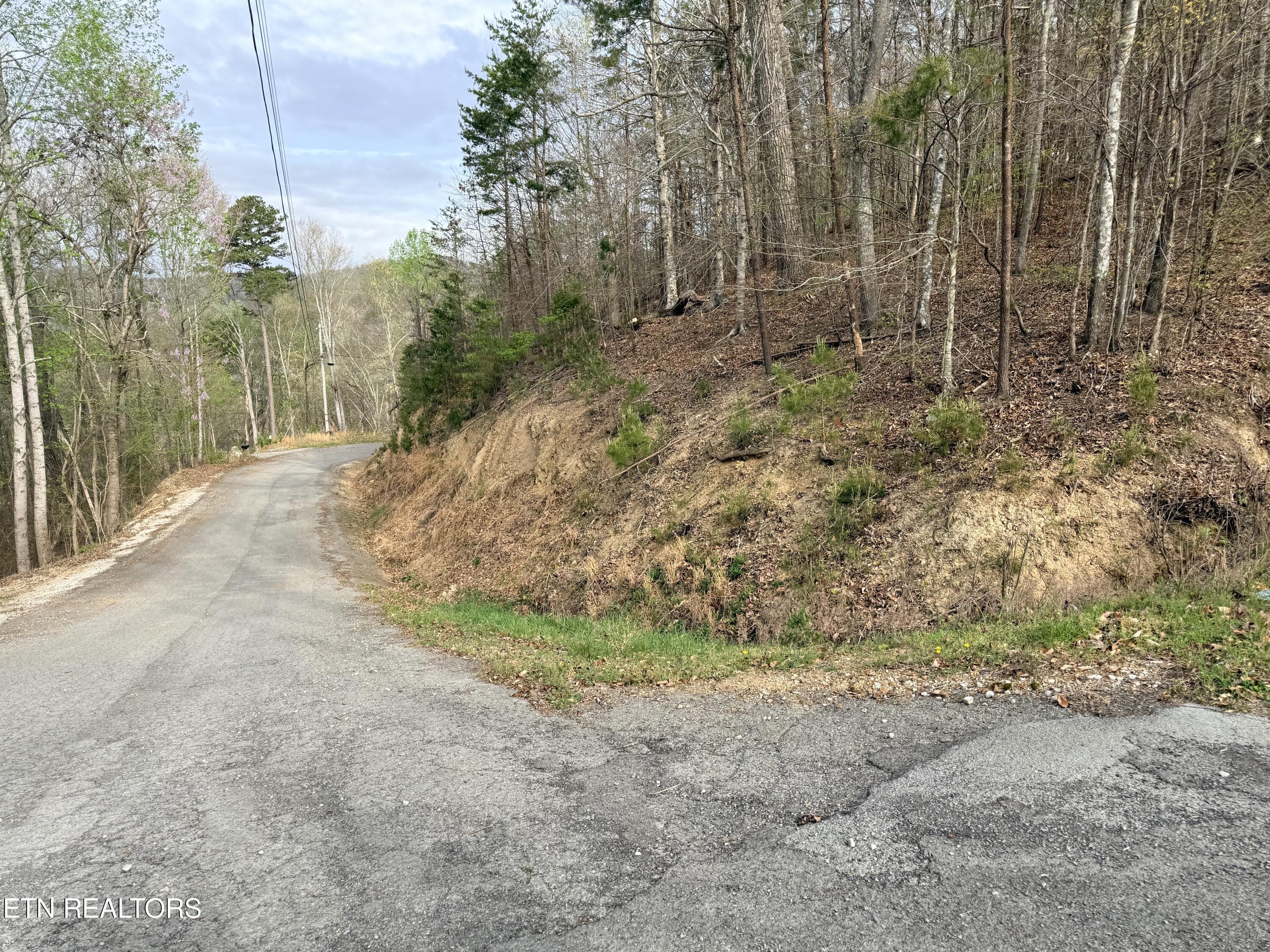 Norris Lake Real Estate - Image# 6