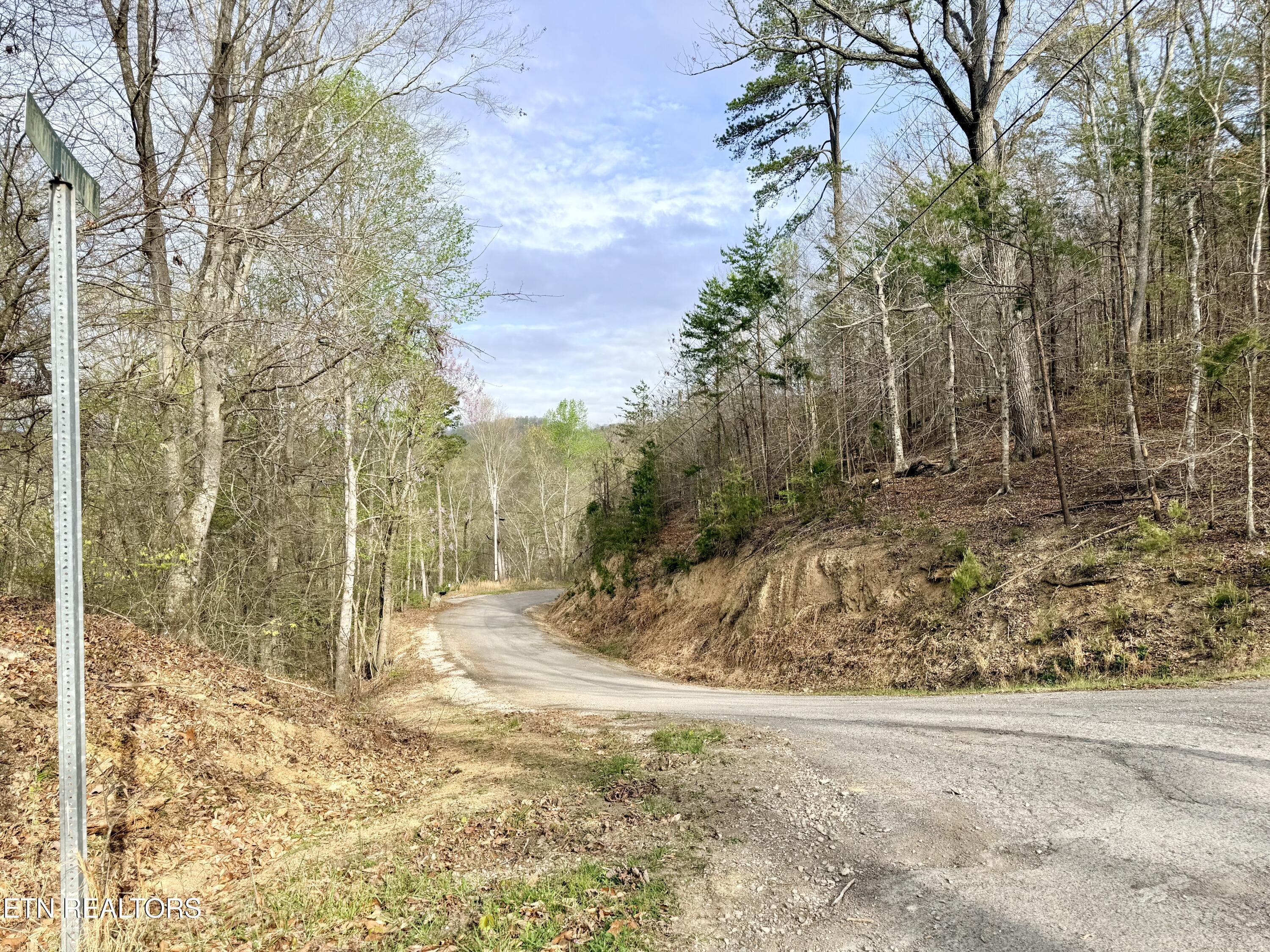 Norris Lake Real Estate - Image# 9