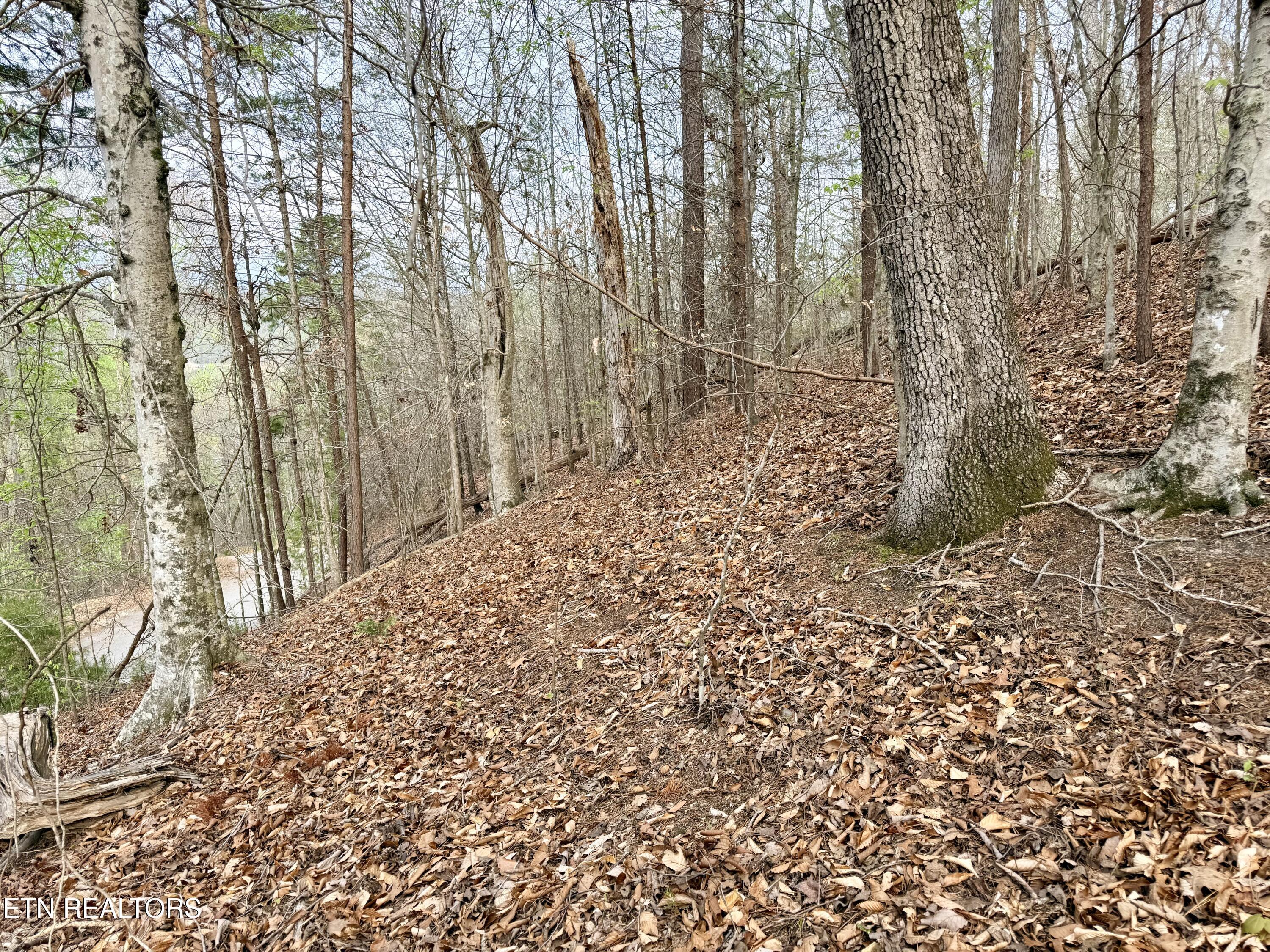 Norris Lake Real Estate - Image# 12
