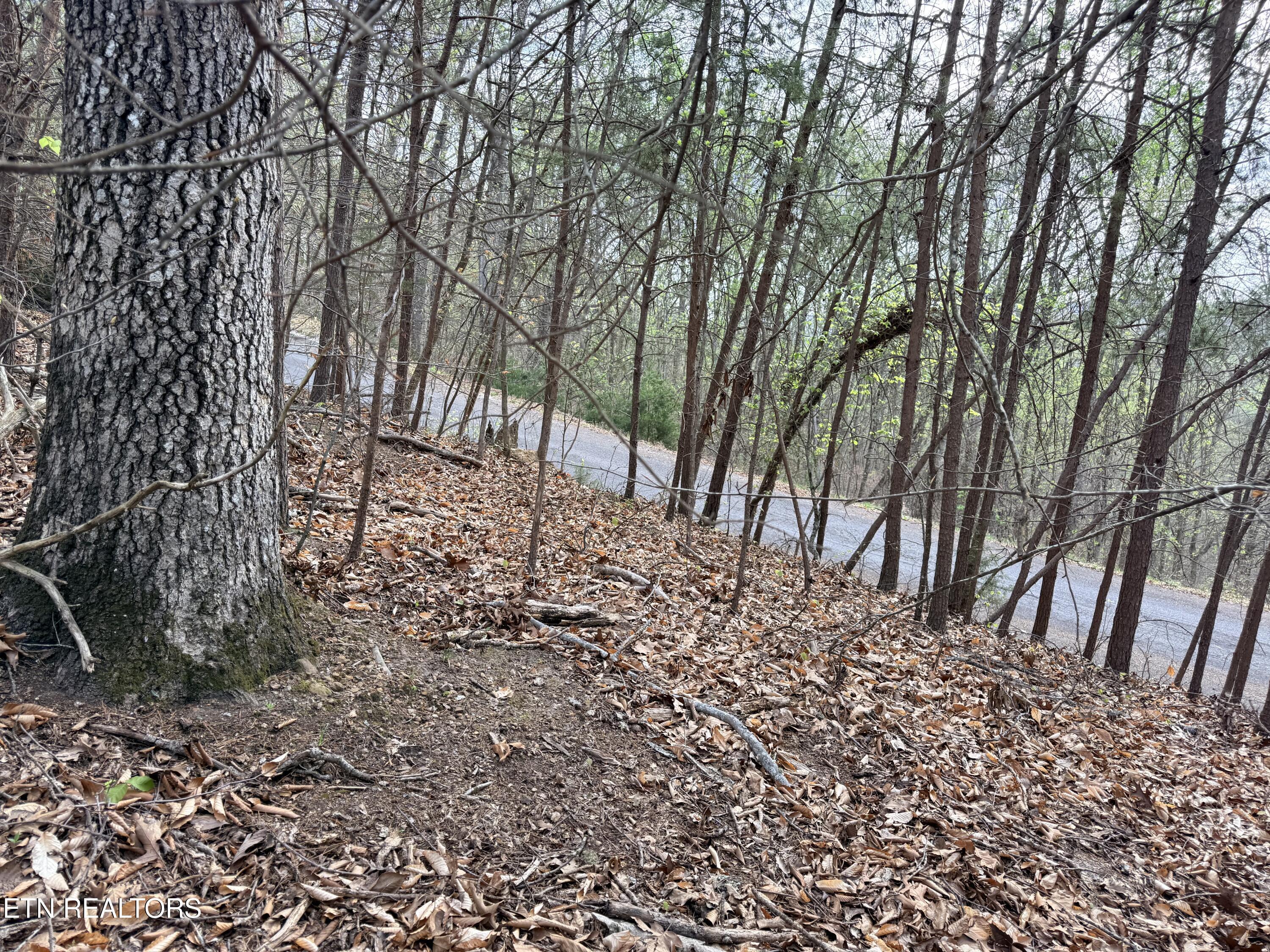 Norris Lake Real Estate - Image# 14