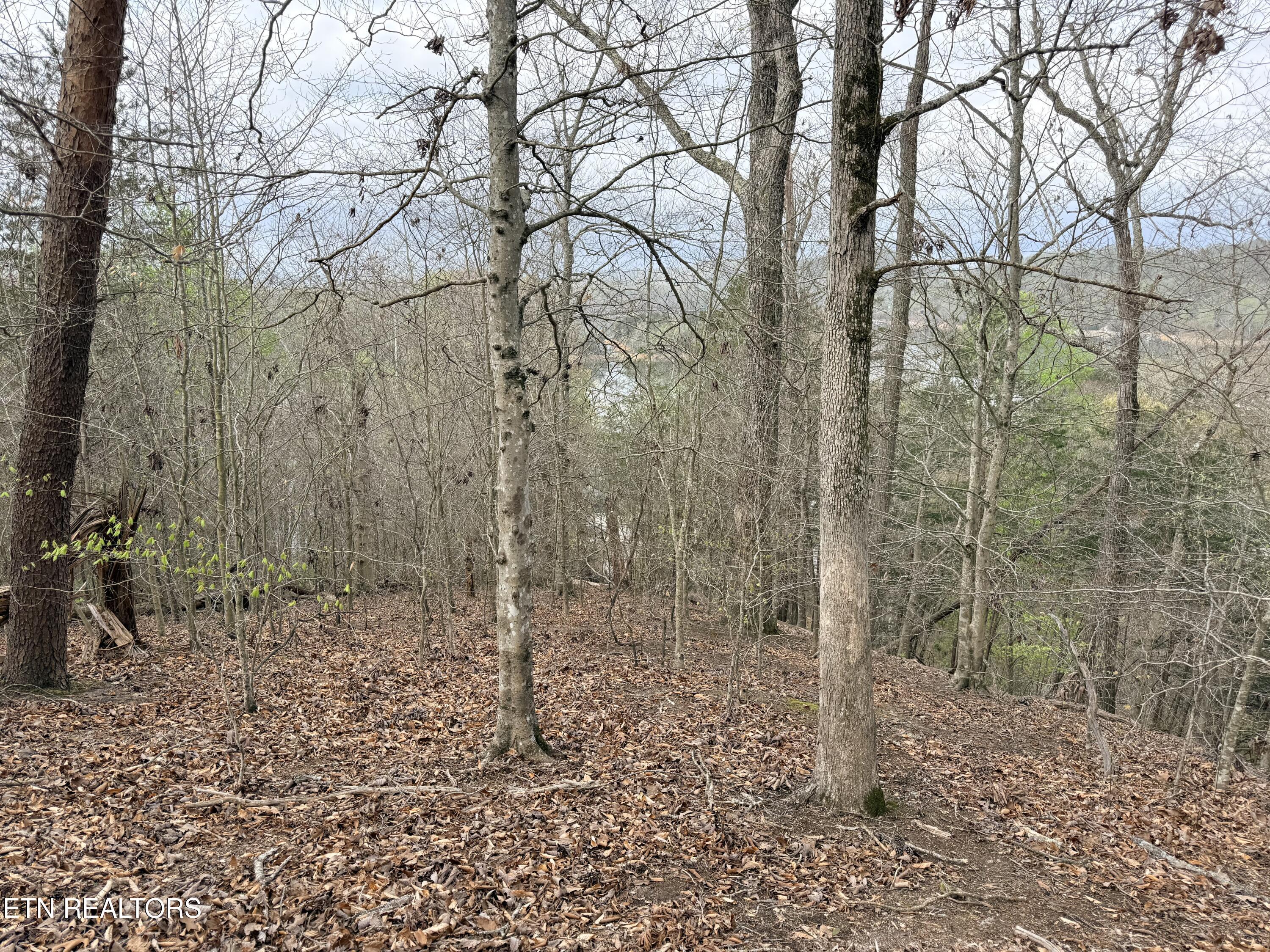Norris Lake Real Estate - Image# 16