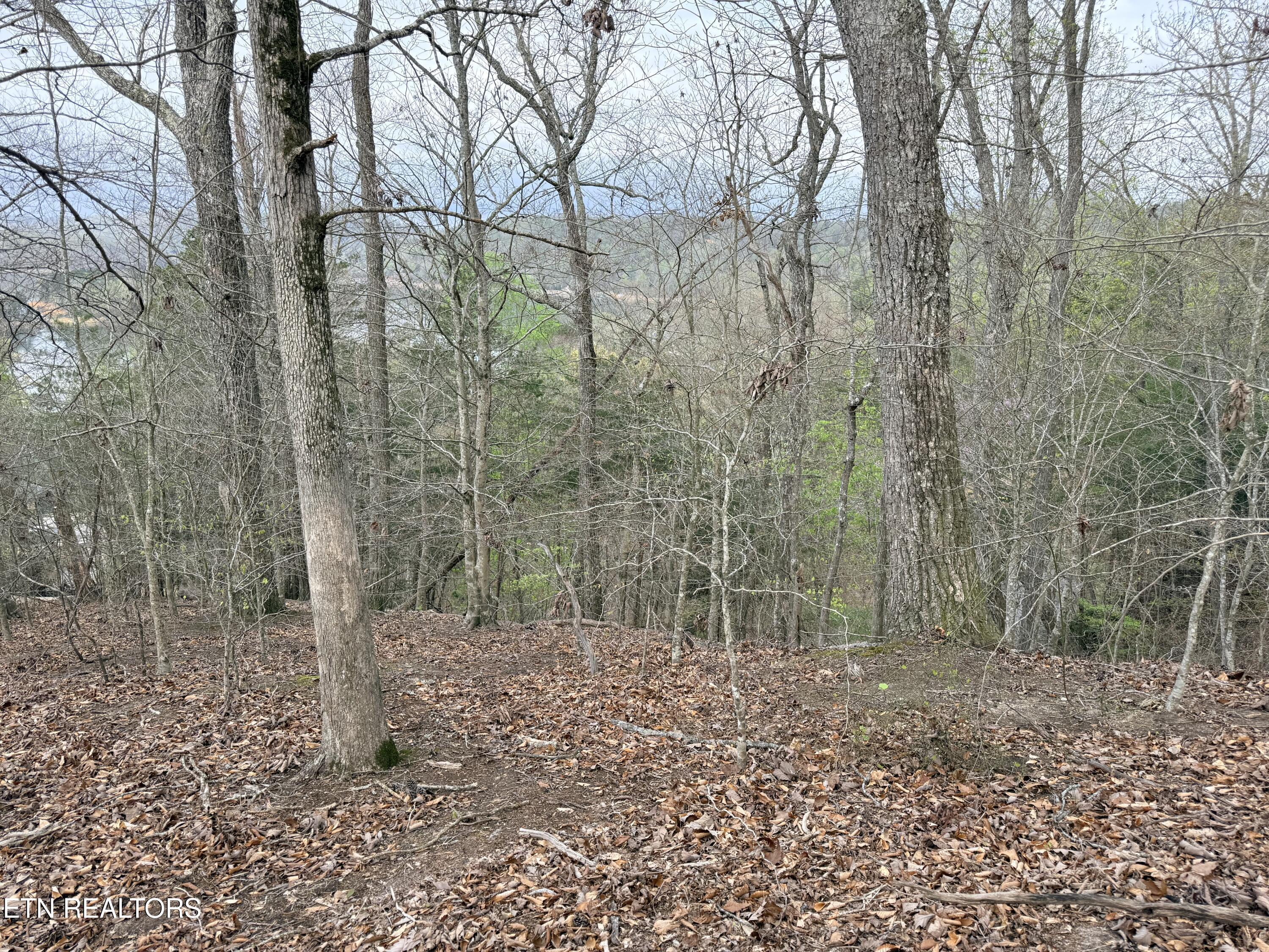 Norris Lake Real Estate - Image# 17