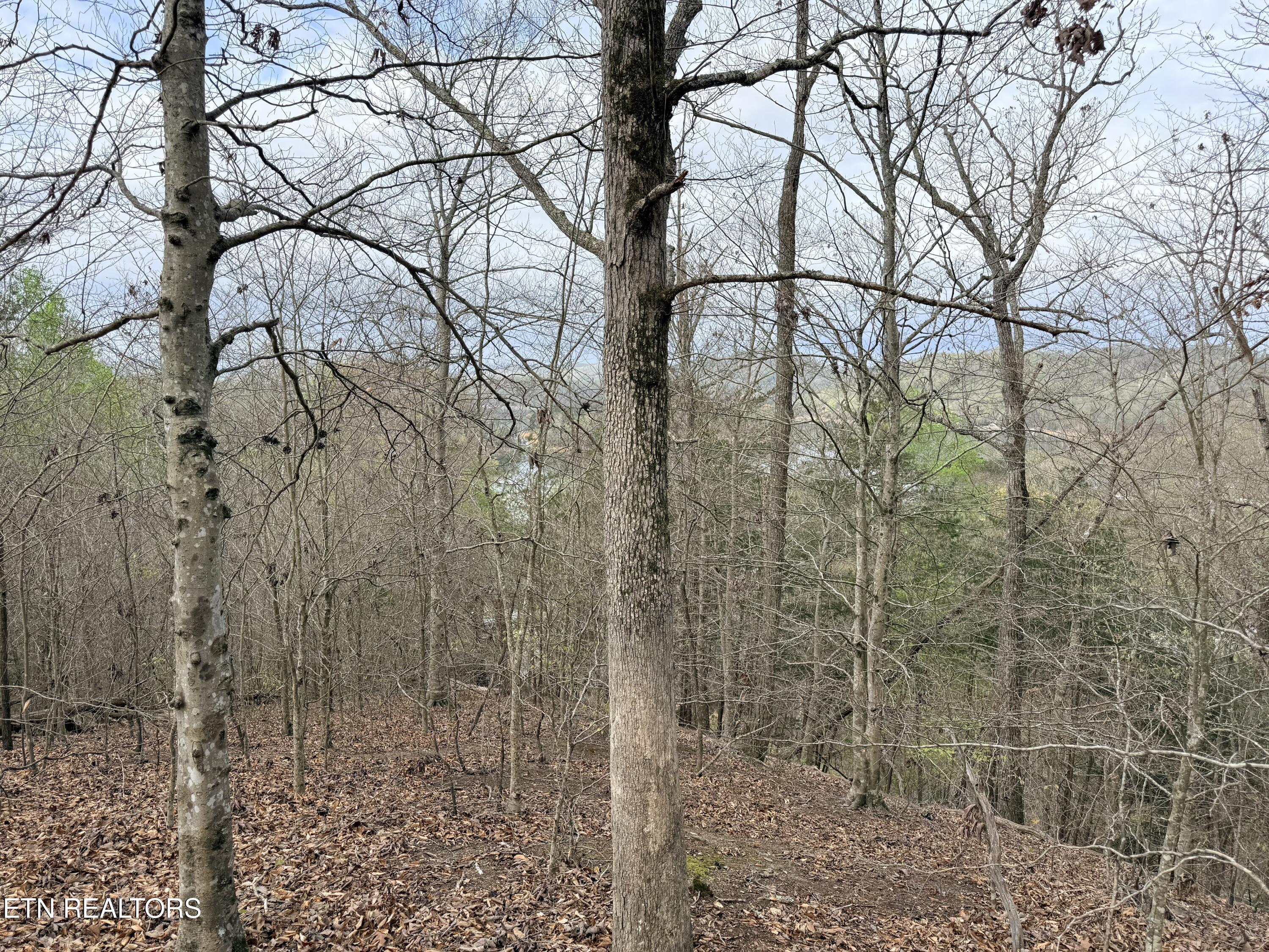Norris Lake Real Estate - Image# 20