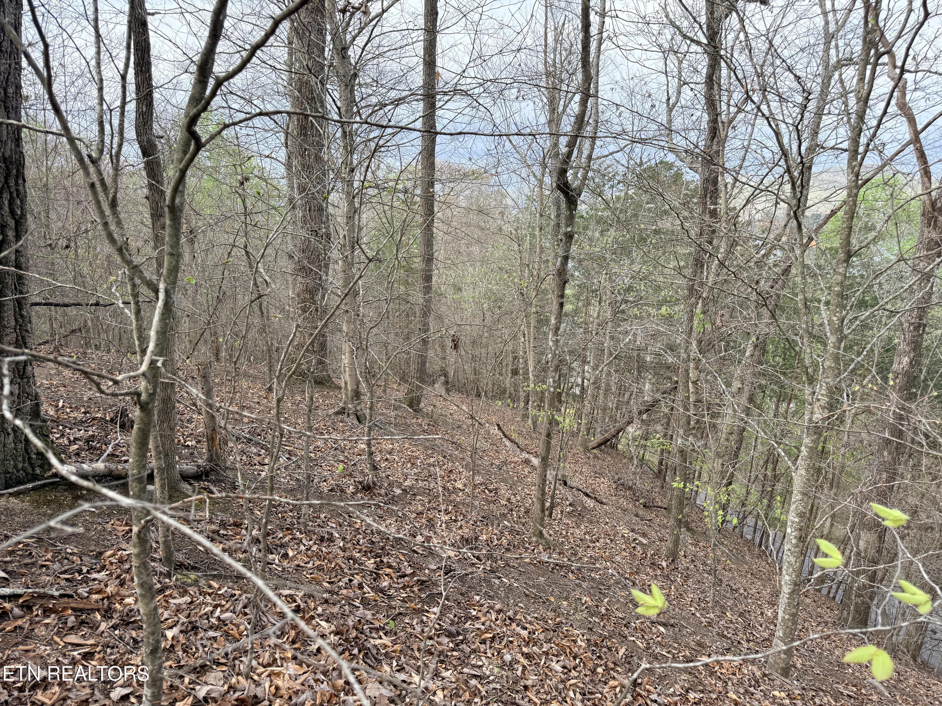 Norris Lake Real Estate - Image# 21