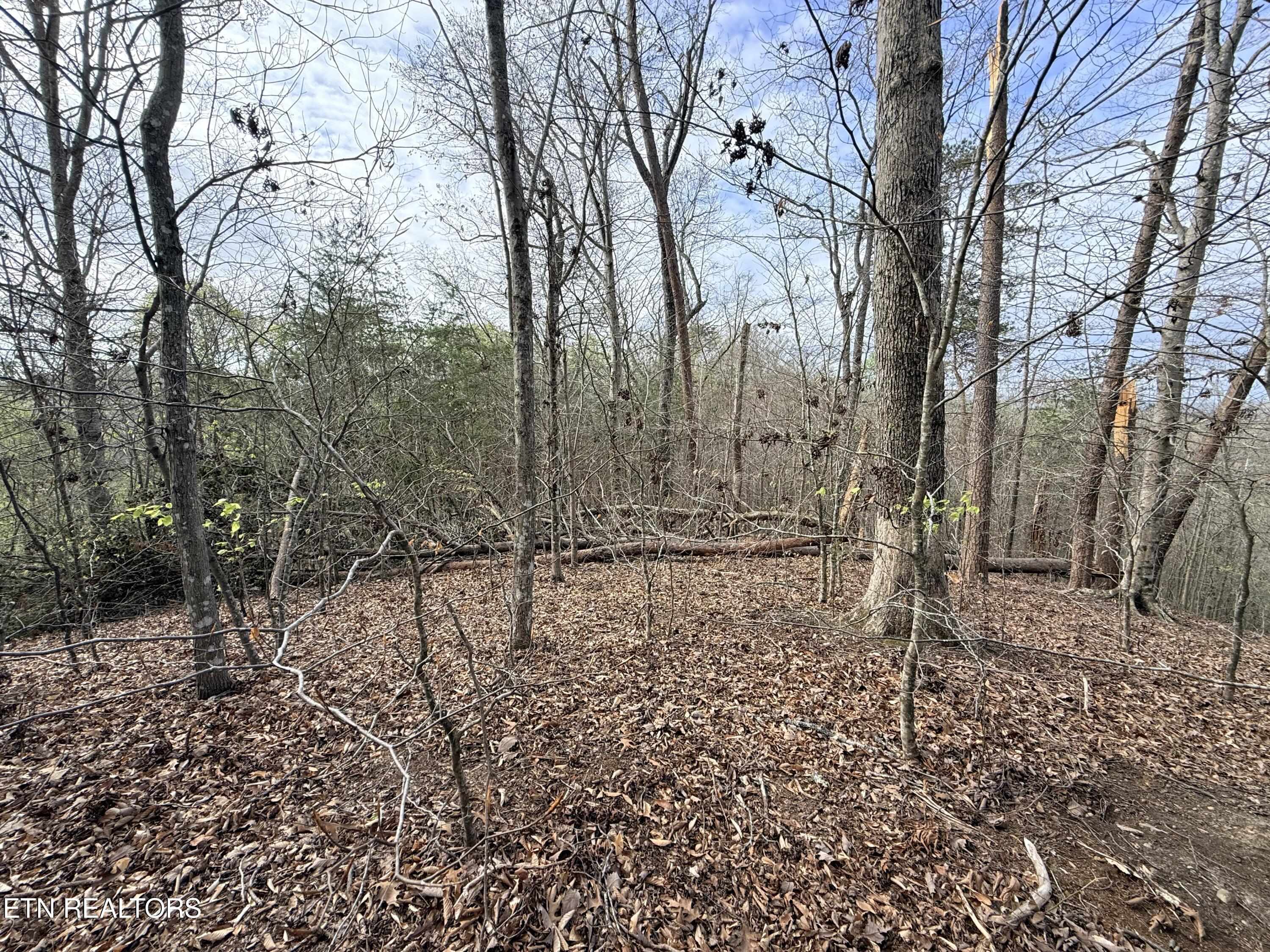 Norris Lake Real Estate - Image# 22
