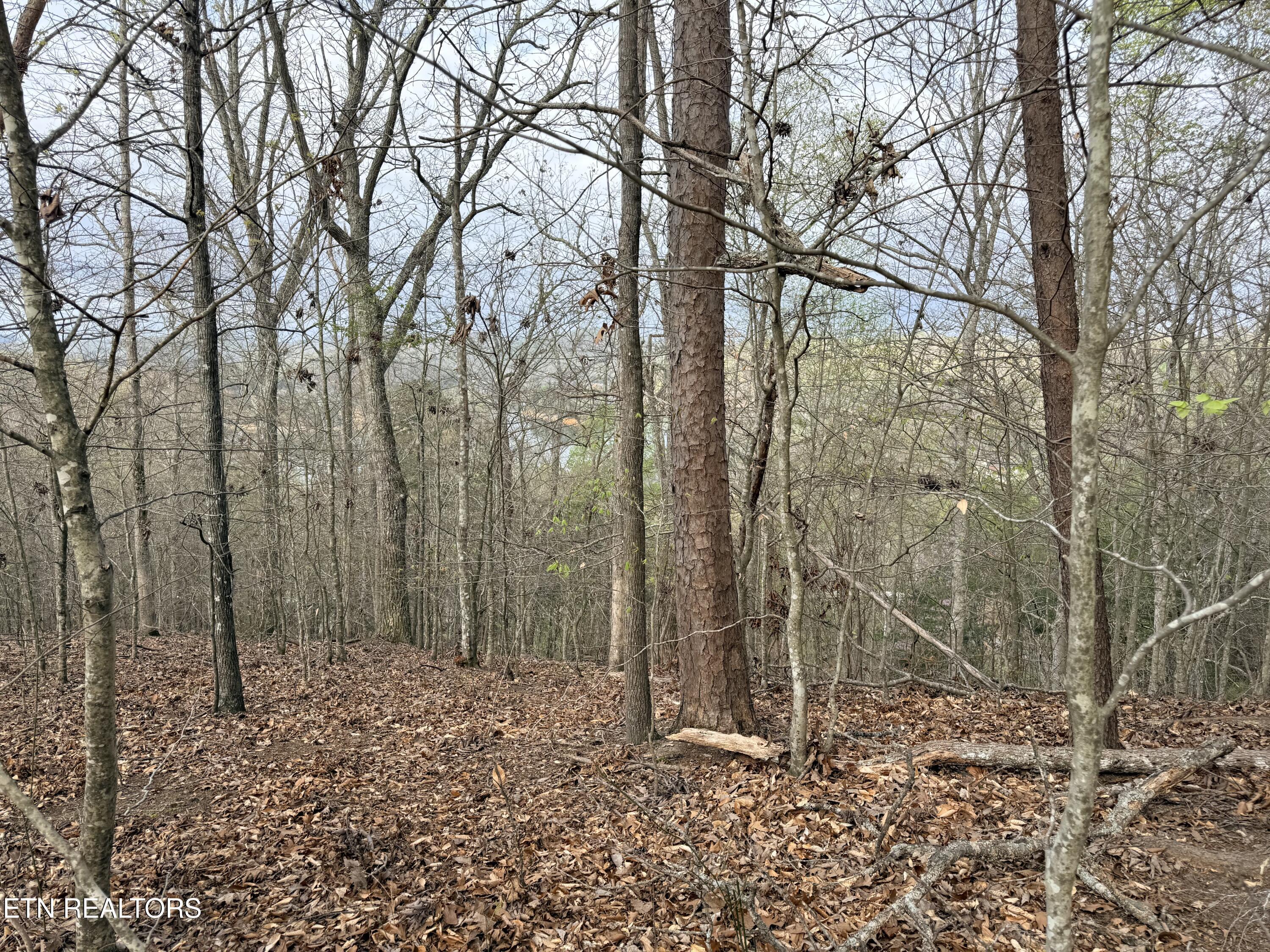 Norris Lake Real Estate - Image# 23