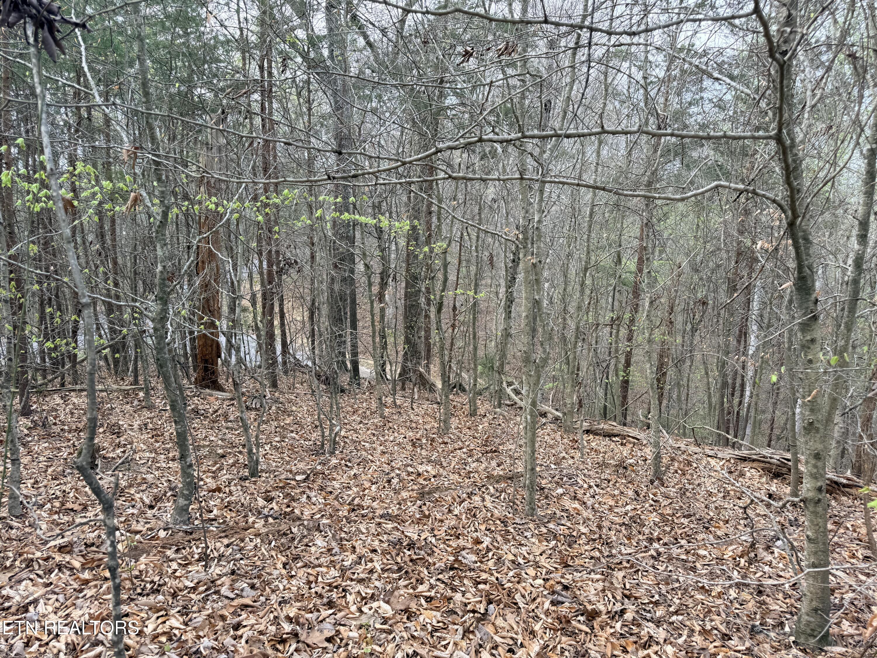 Norris Lake Real Estate - Image# 24