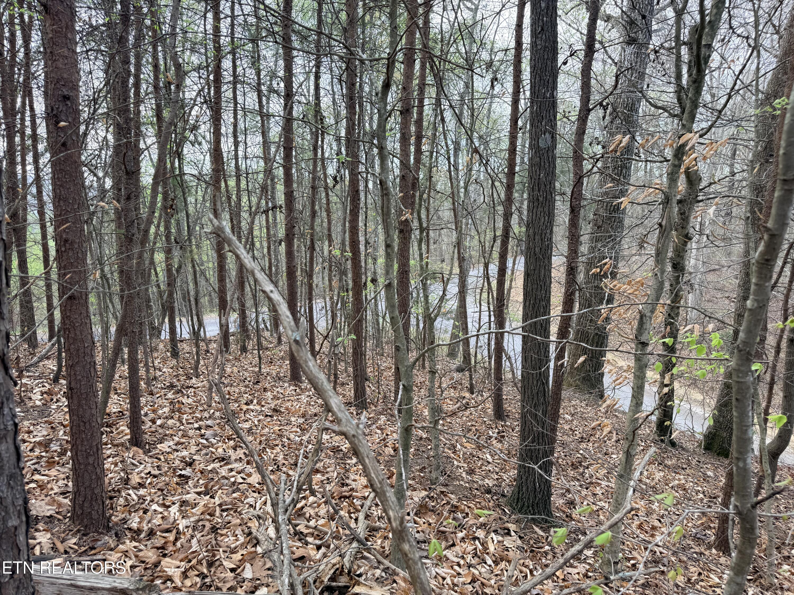 Norris Lake Real Estate - Image# 26