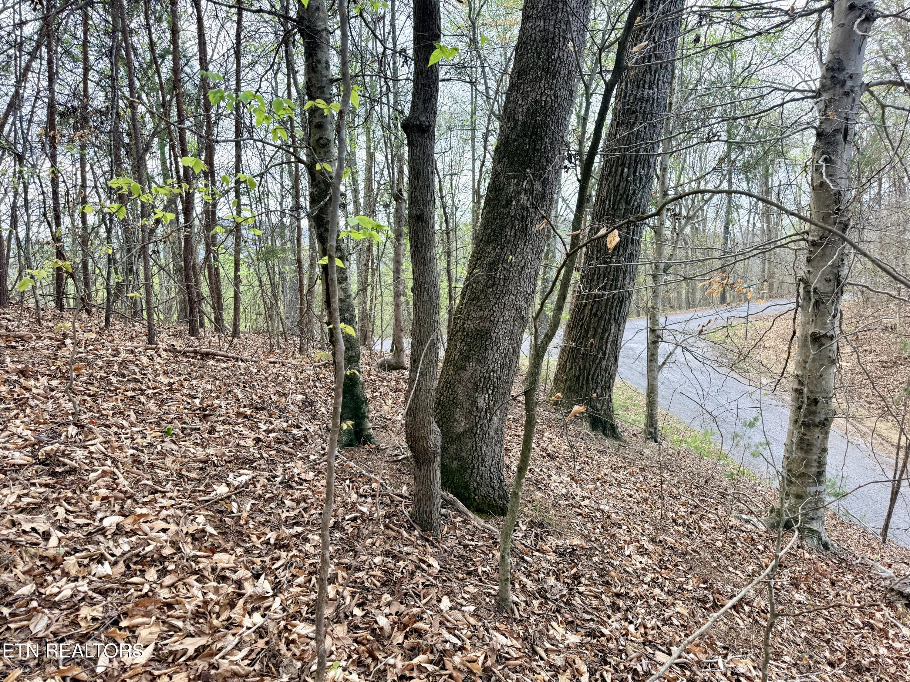 Norris Lake Real Estate - Image# 27