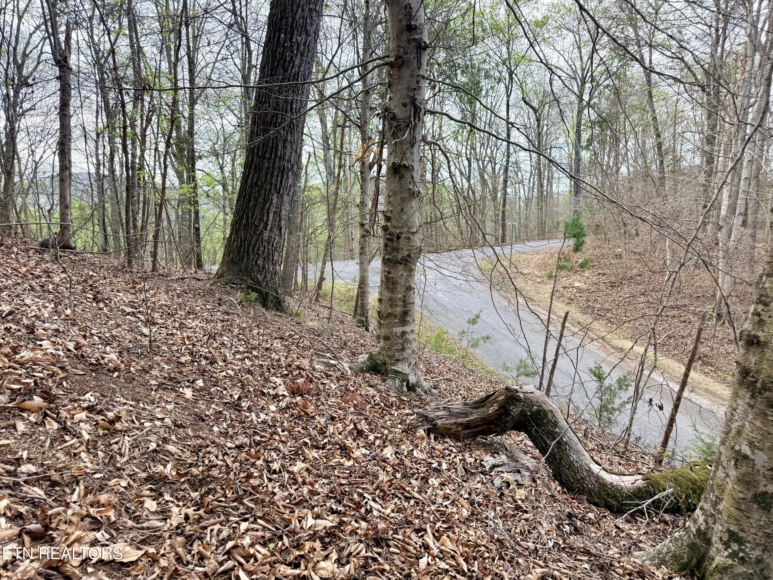 Norris Lake Real Estate - Image# 28