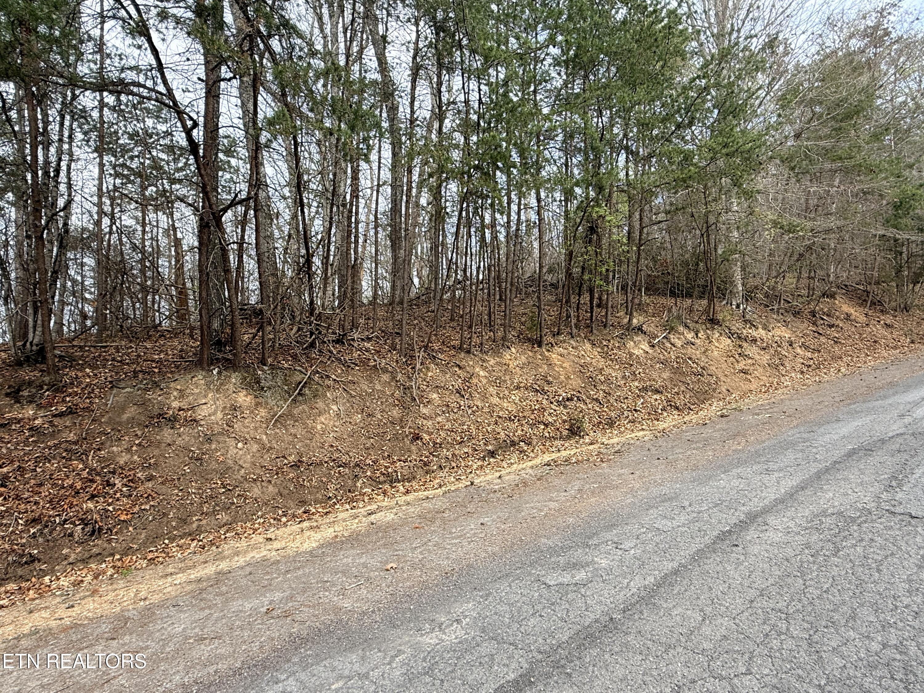 Norris Lake Real Estate - Image# 1