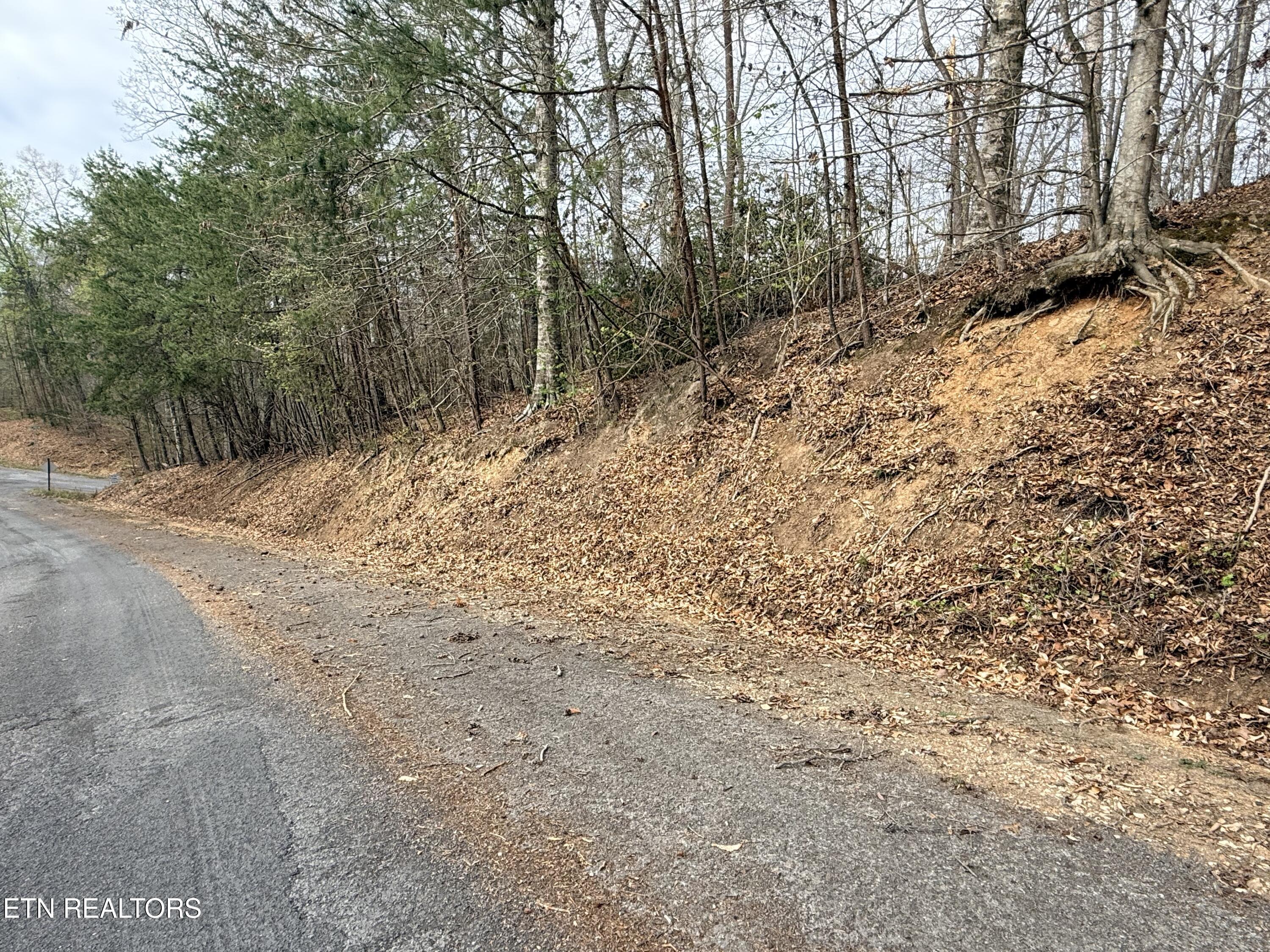 Norris Lake Real Estate - Image# 29