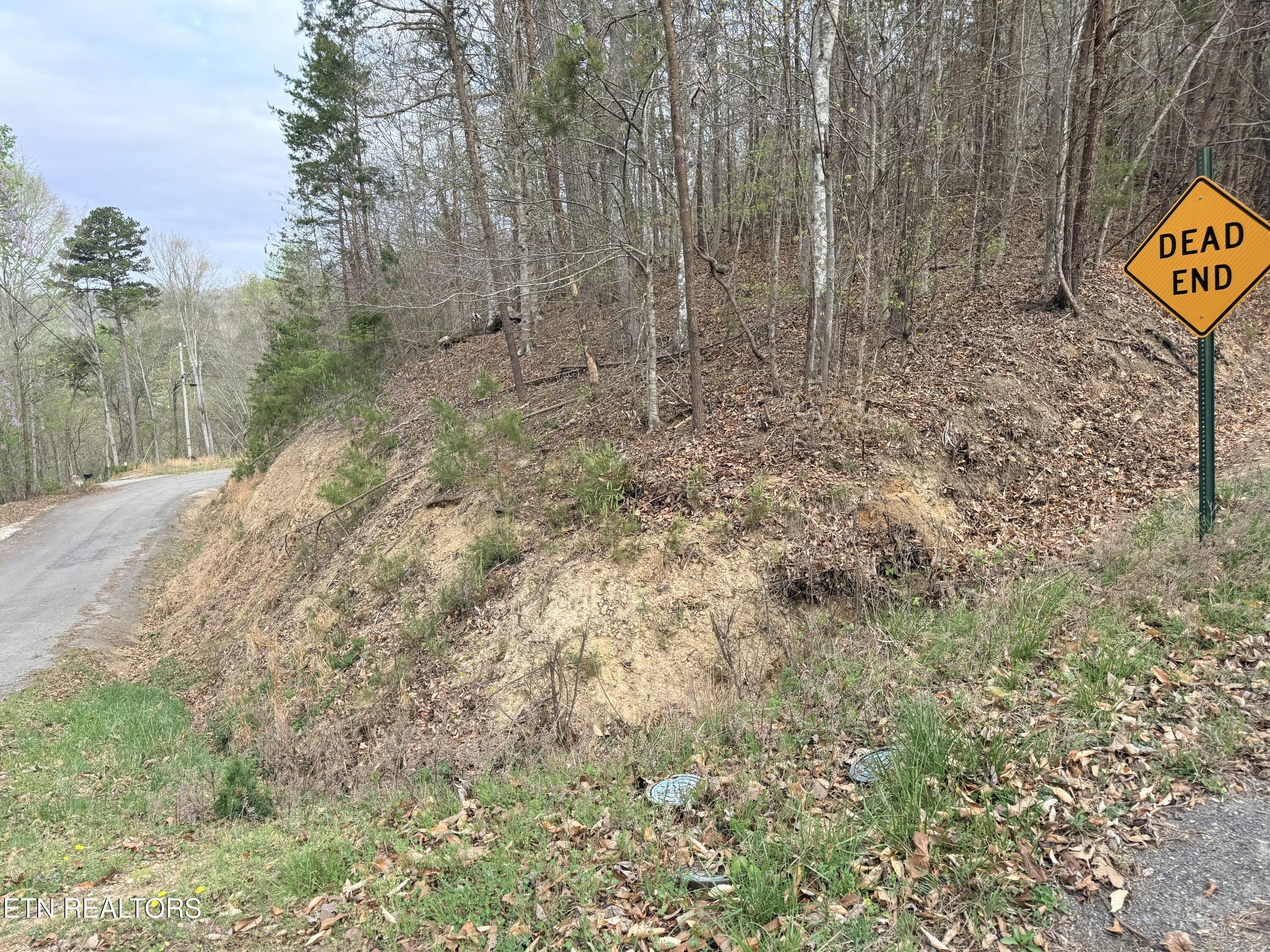 Norris Lake Real Estate - Image# 30