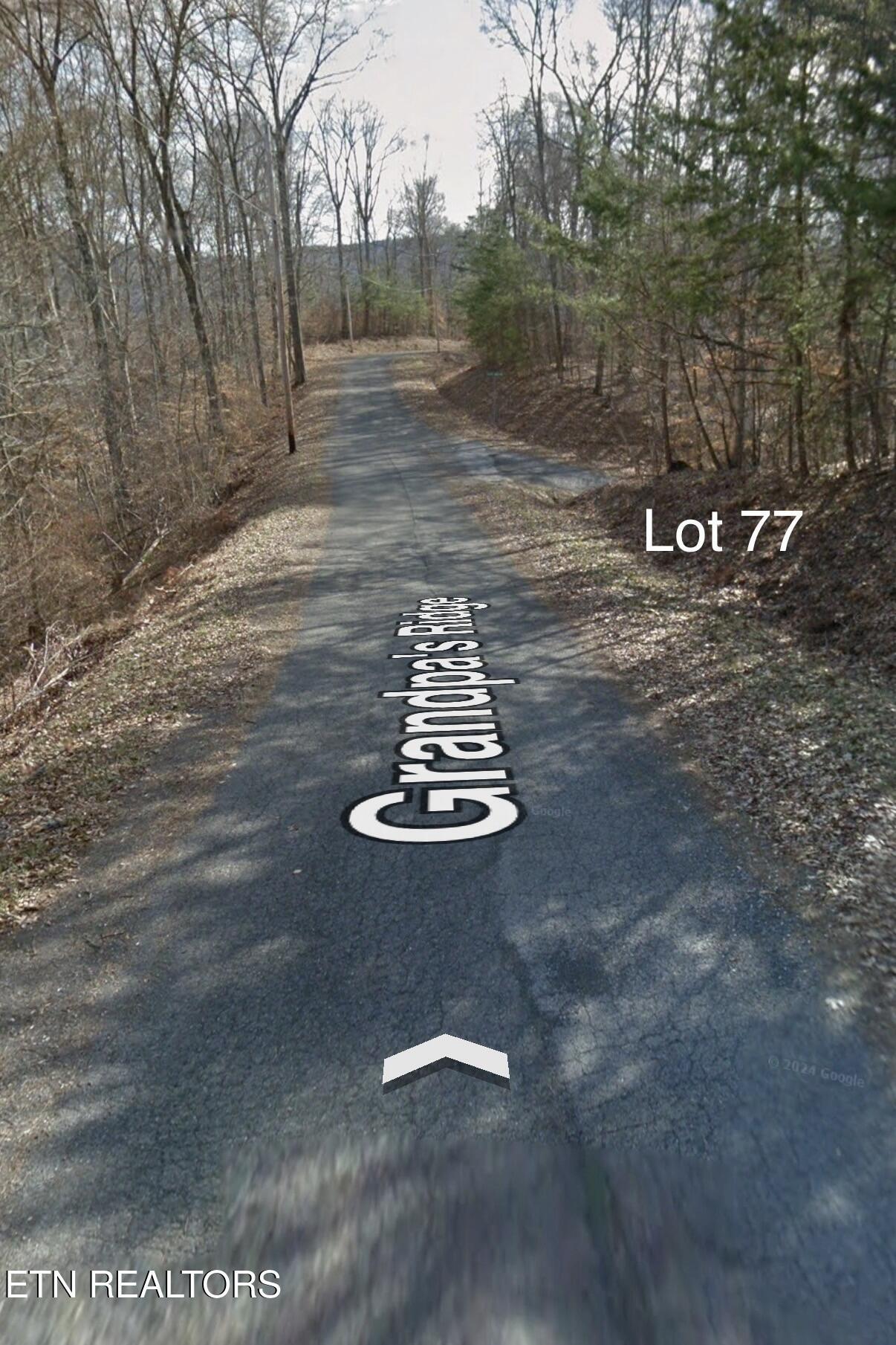 Norris Lake Real Estate - Image# 31