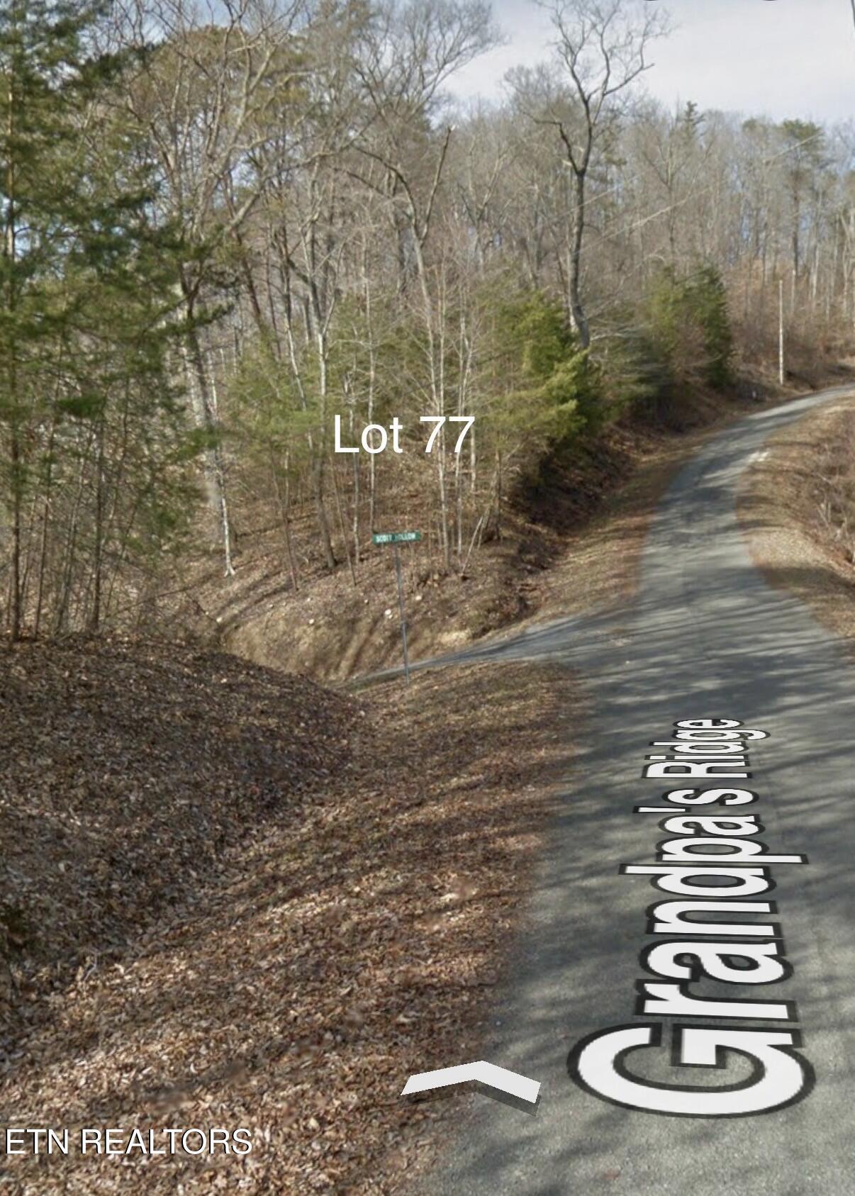 Norris Lake Real Estate - Image# 32