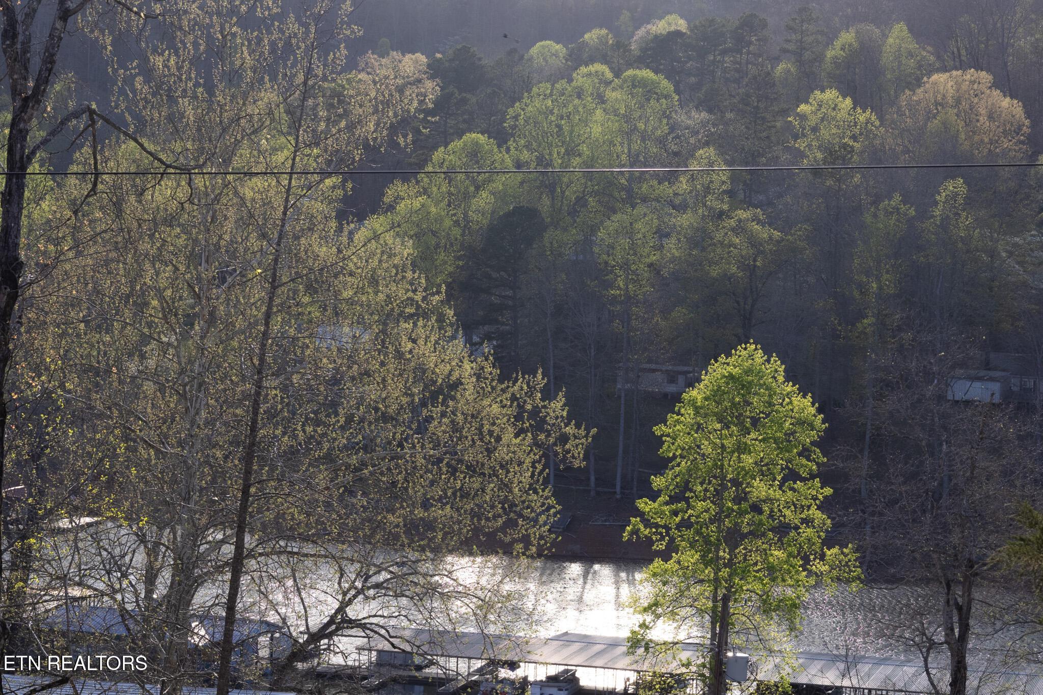 251 Last Lz Lane, Speedwell, TN - Norris Lake Real Estate - Image# 43