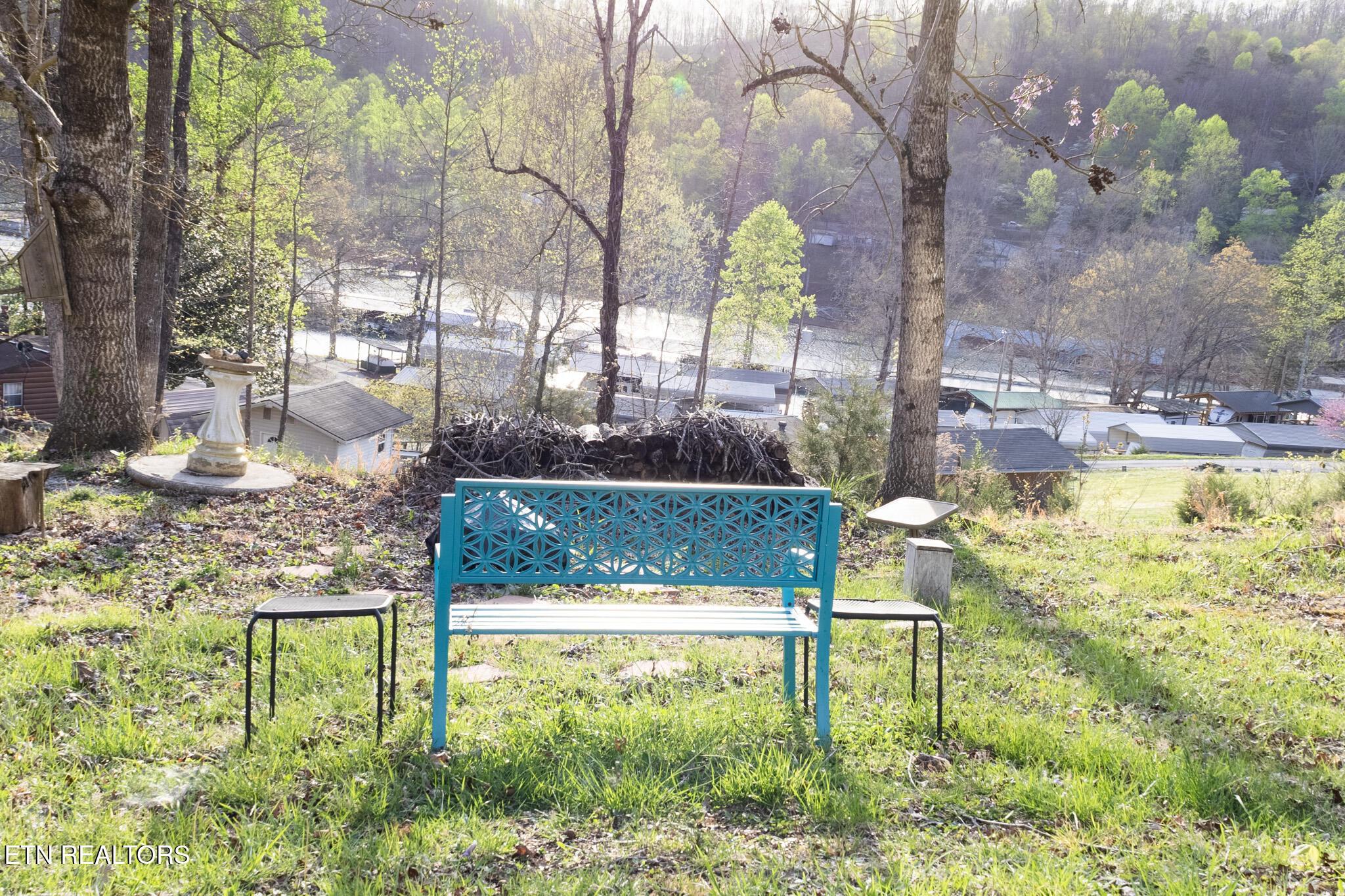 251 Last Lz Lane, Speedwell, TN - Norris Lake Real Estate - Image# 45