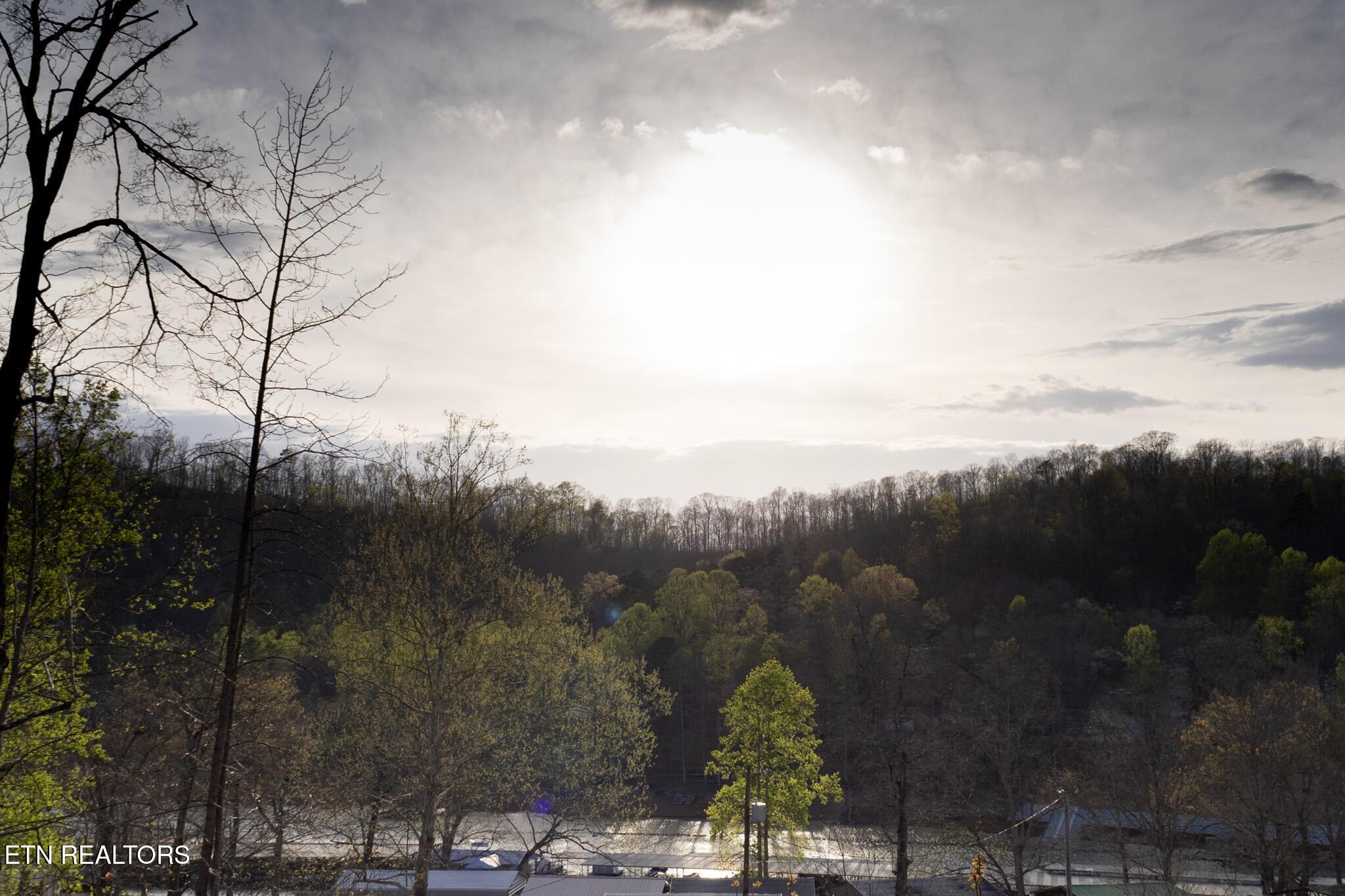 251 Last Lz Lane, Speedwell, TN - Norris Lake Real Estate - Image# 46