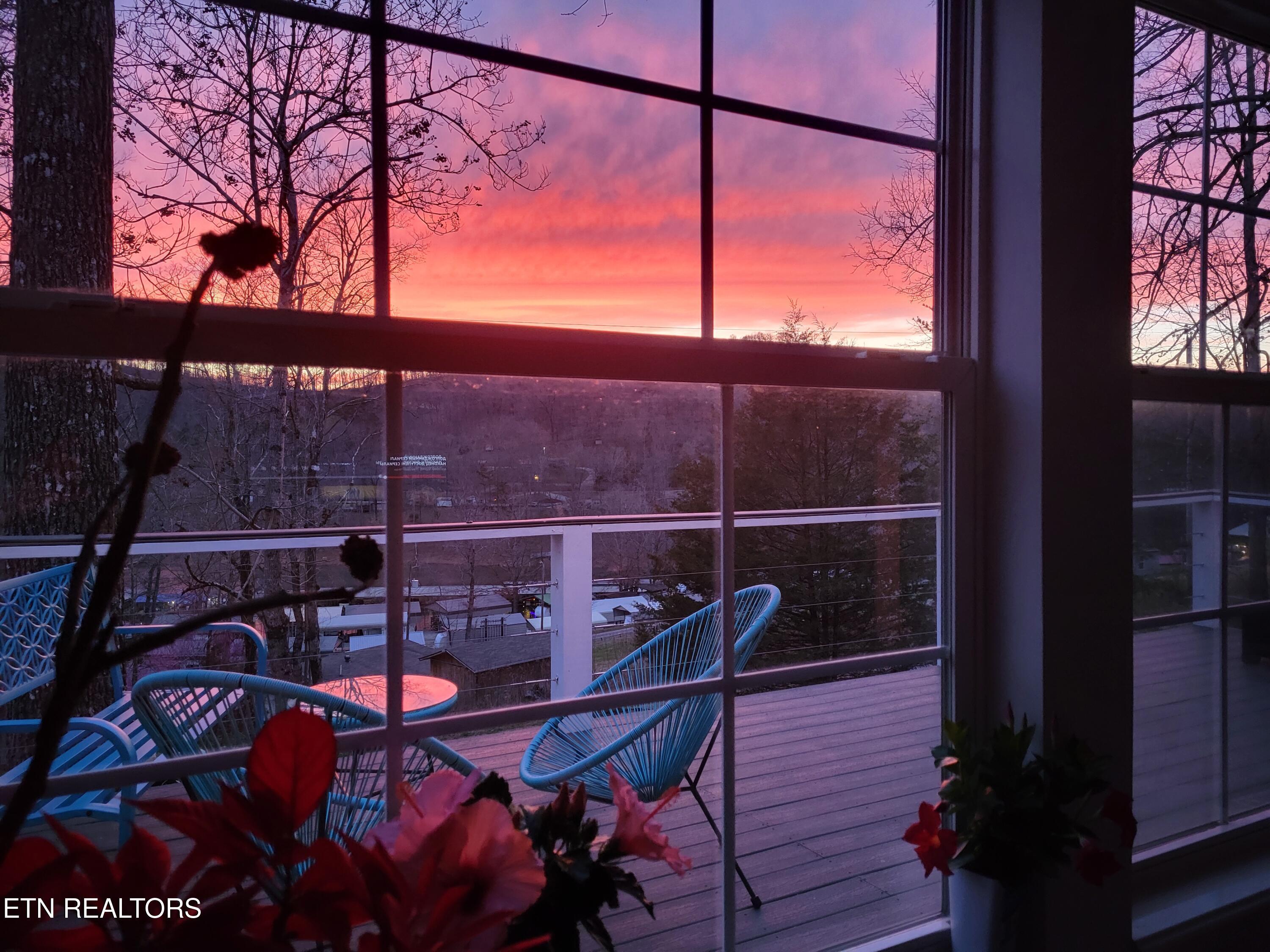 251 Last Lz Lane, Speedwell, TN - Norris Lake Real Estate - Image# 48