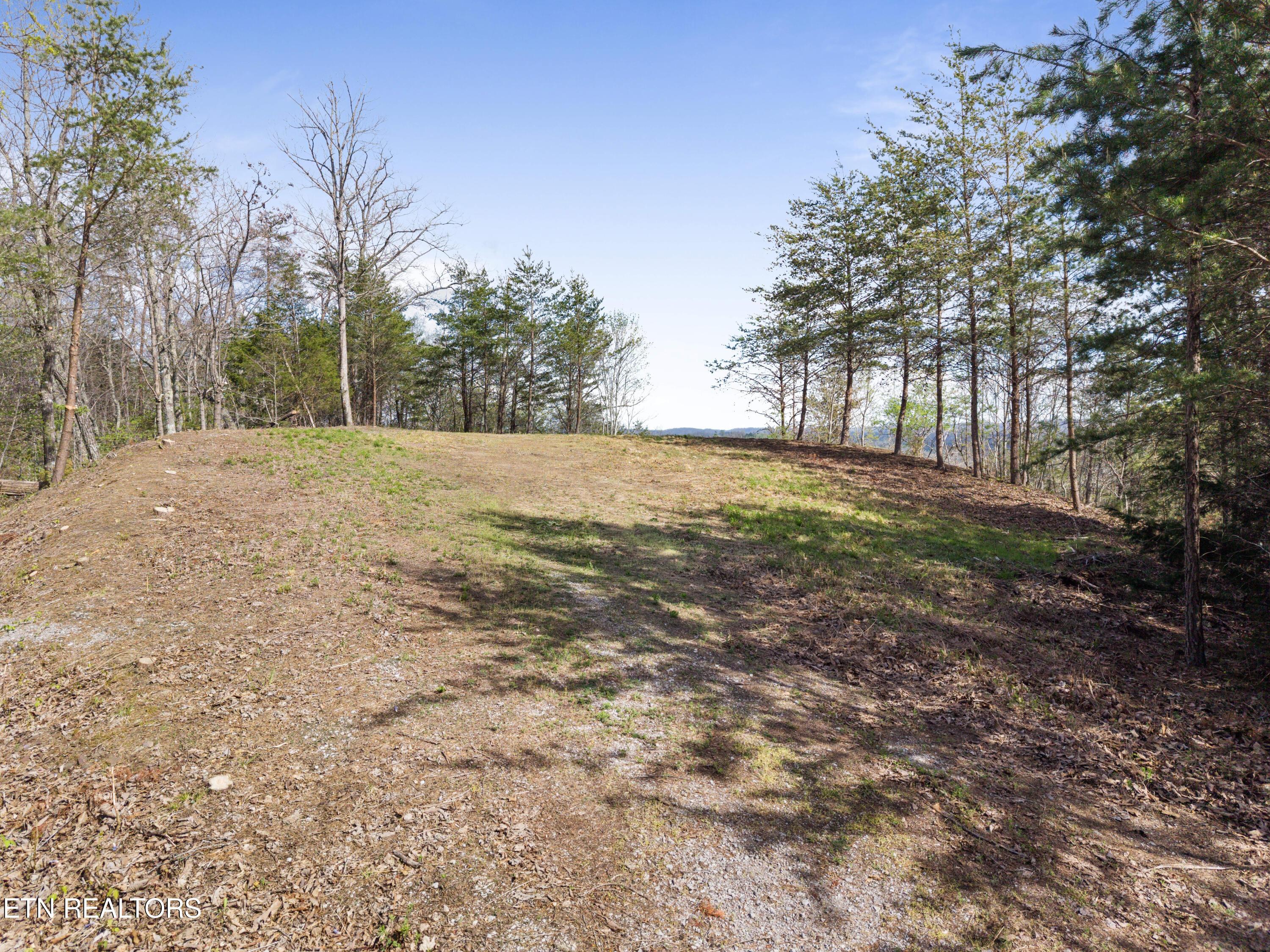 Norris Lake Real Estate - Image# 3