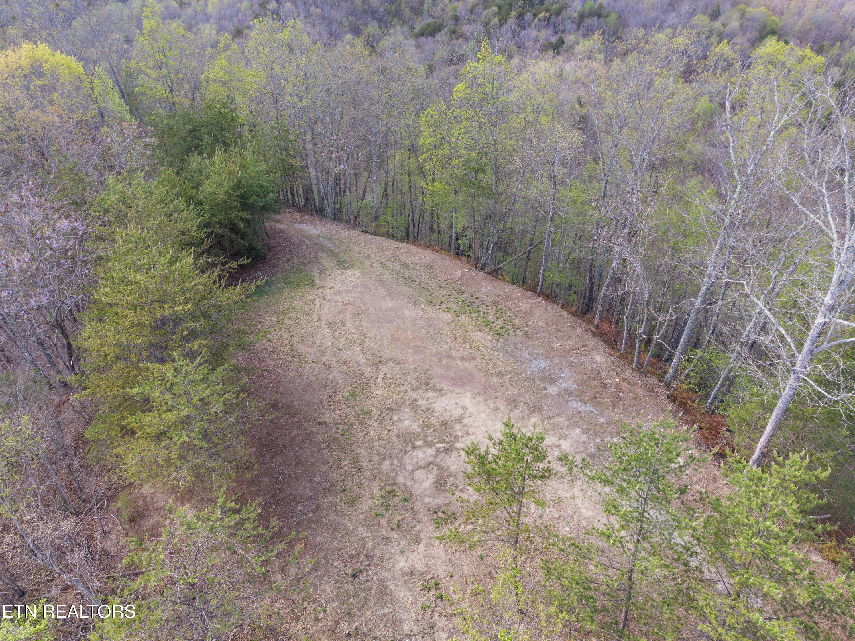 Norris Lake Real Estate - Image# 4