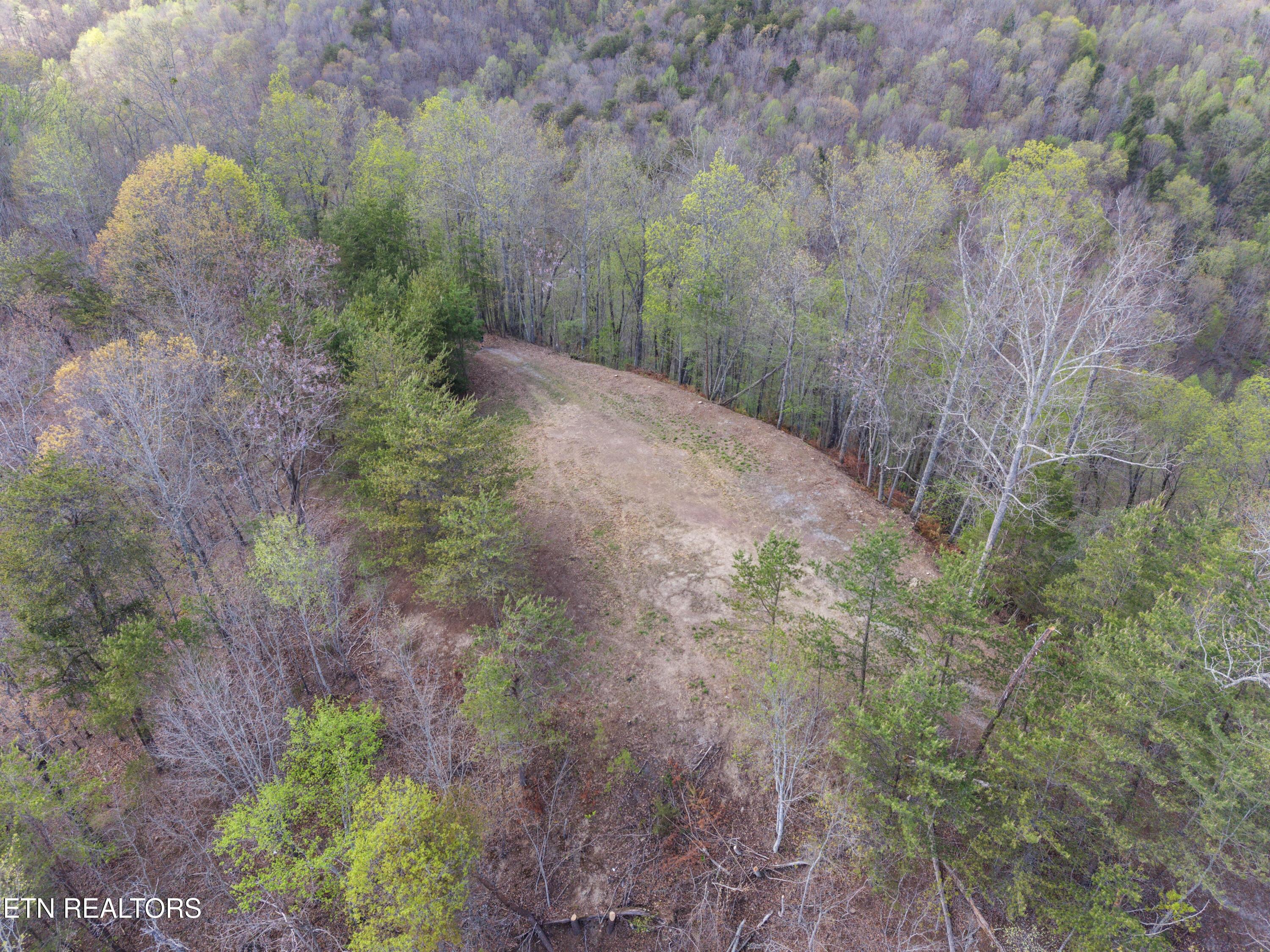 Norris Lake Real Estate - Image# 5