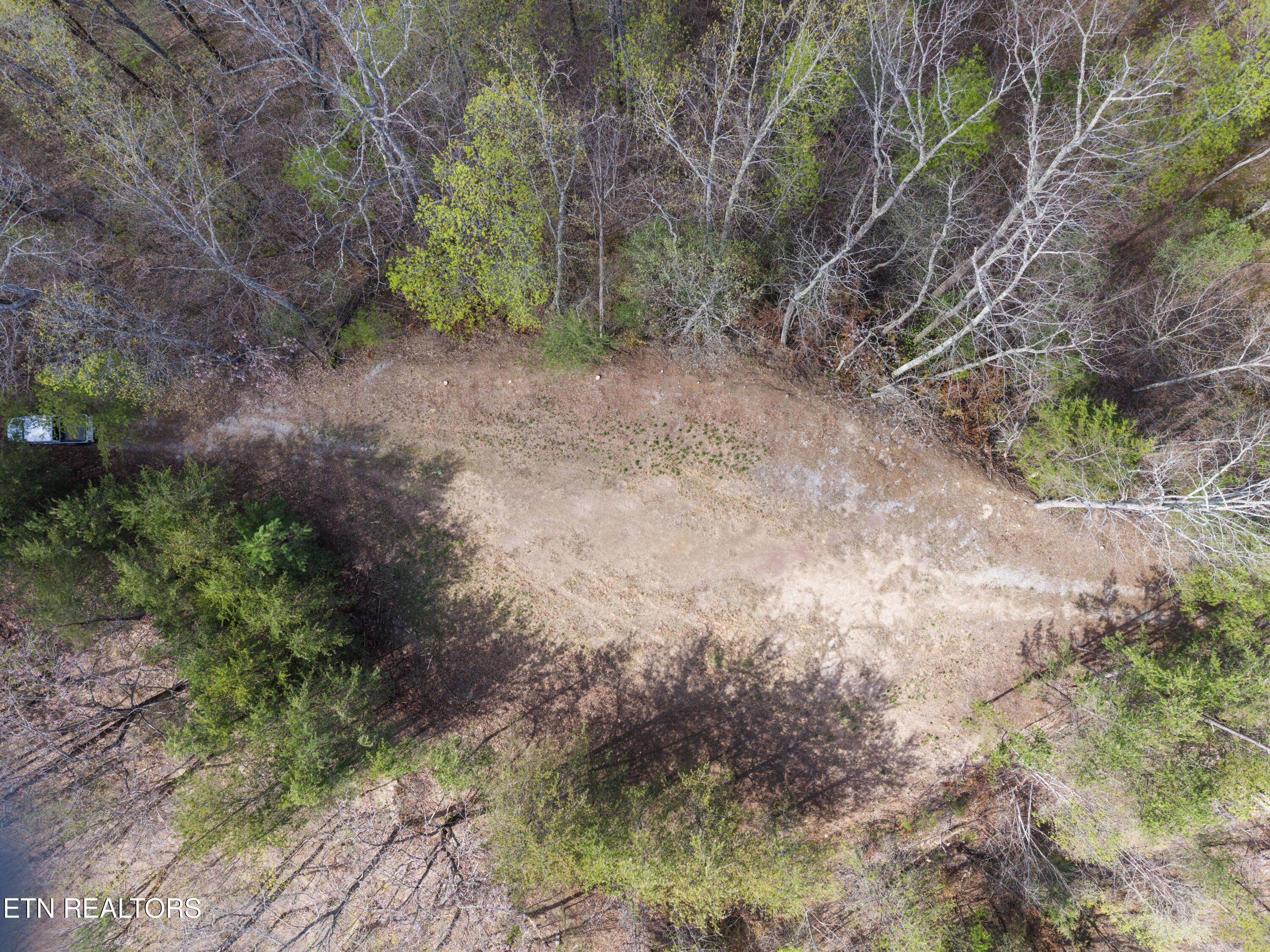 Norris Lake Real Estate - Image# 6