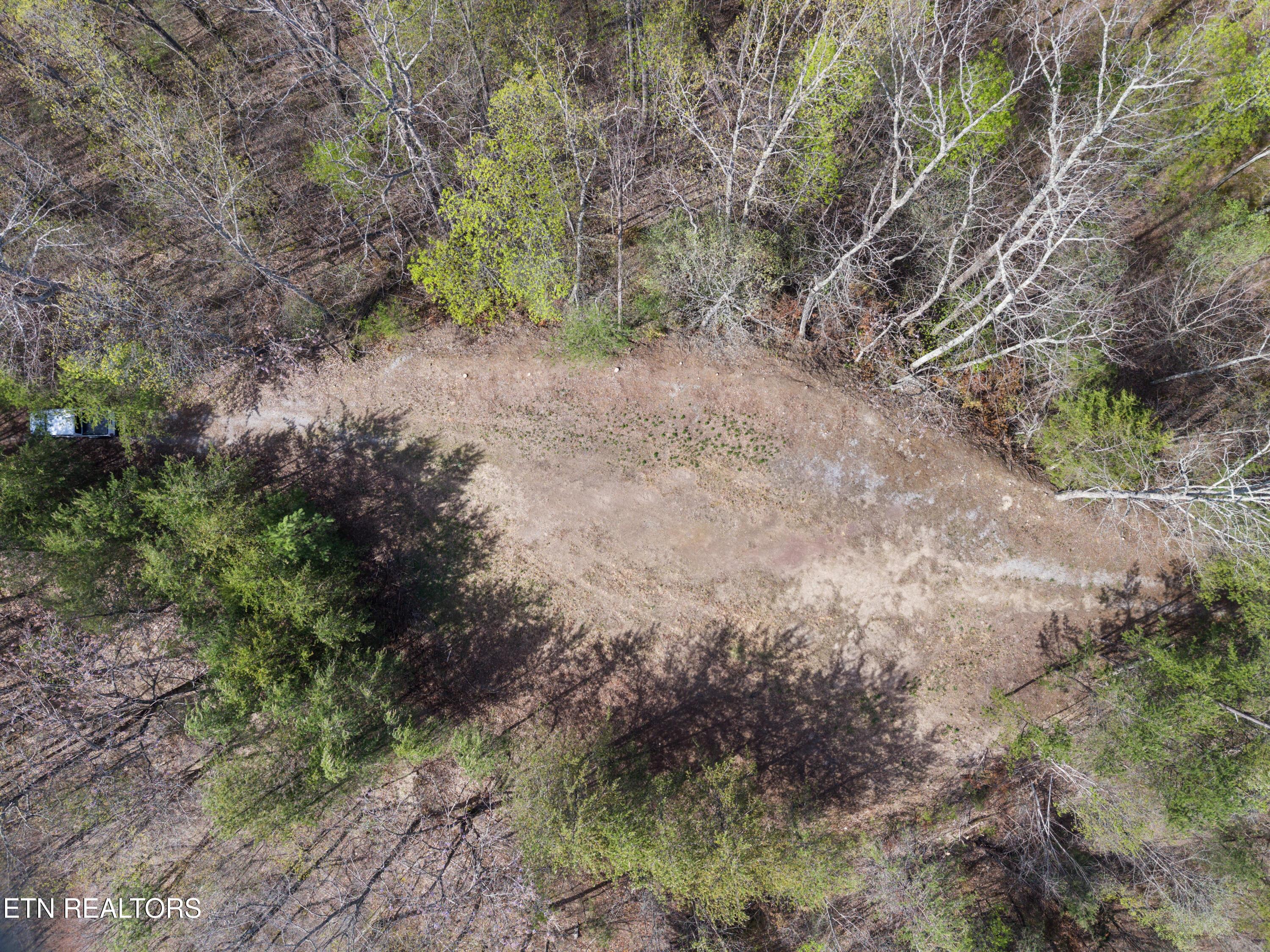Norris Lake Real Estate - Image# 7