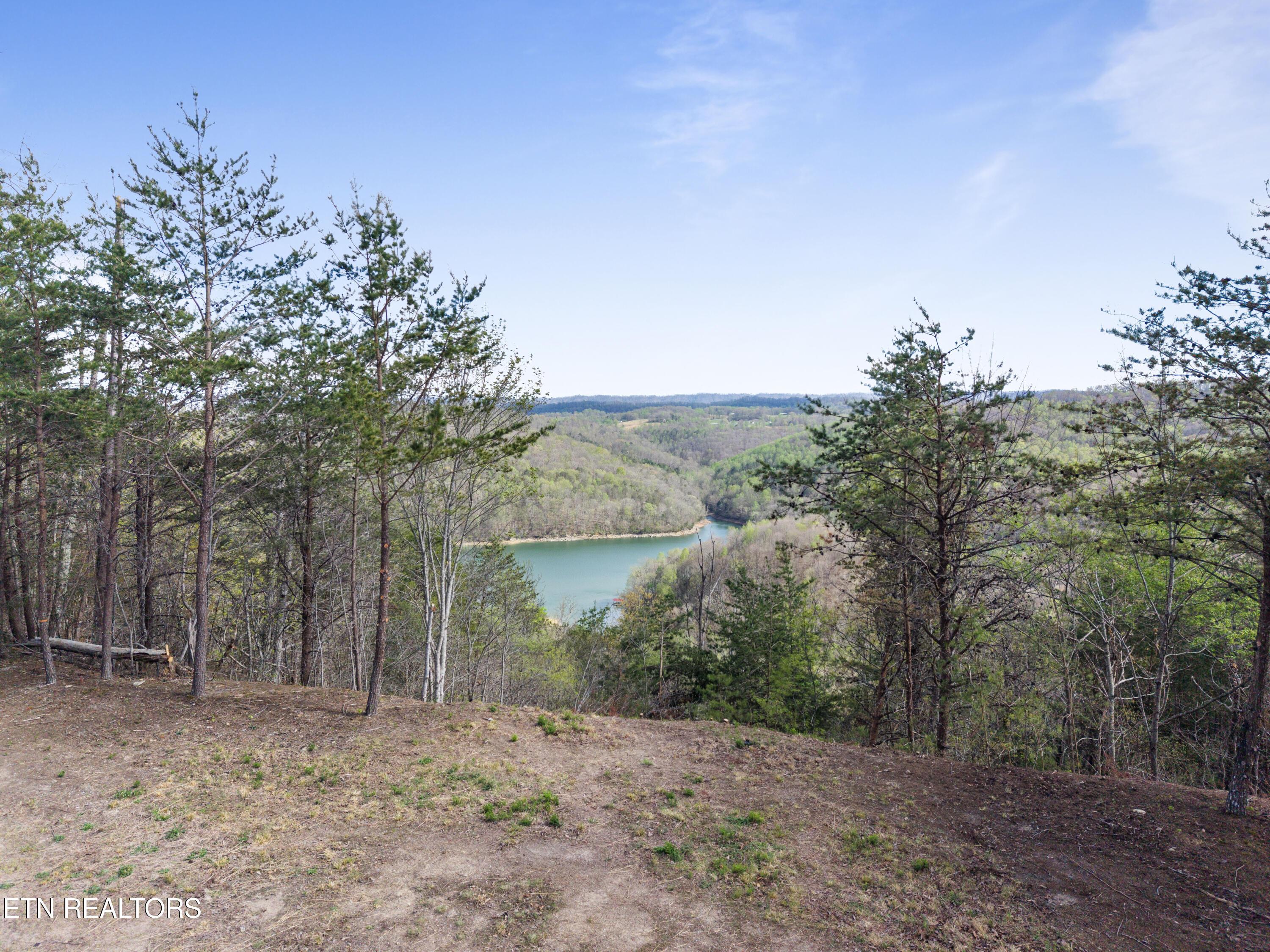 Norris Lake Real Estate - Image# 10