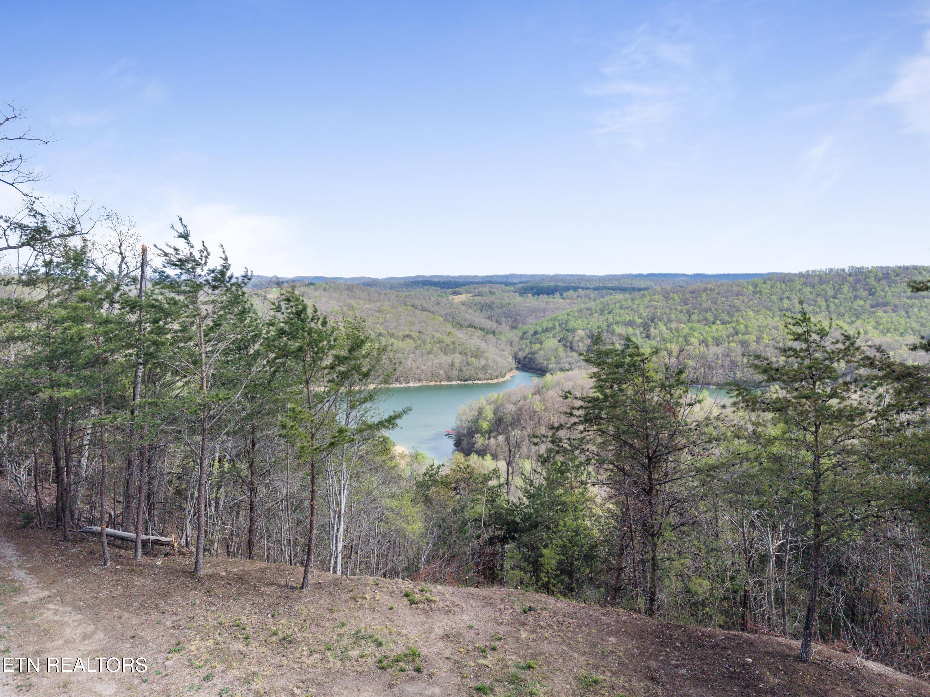Norris Lake Real Estate - Image# 12