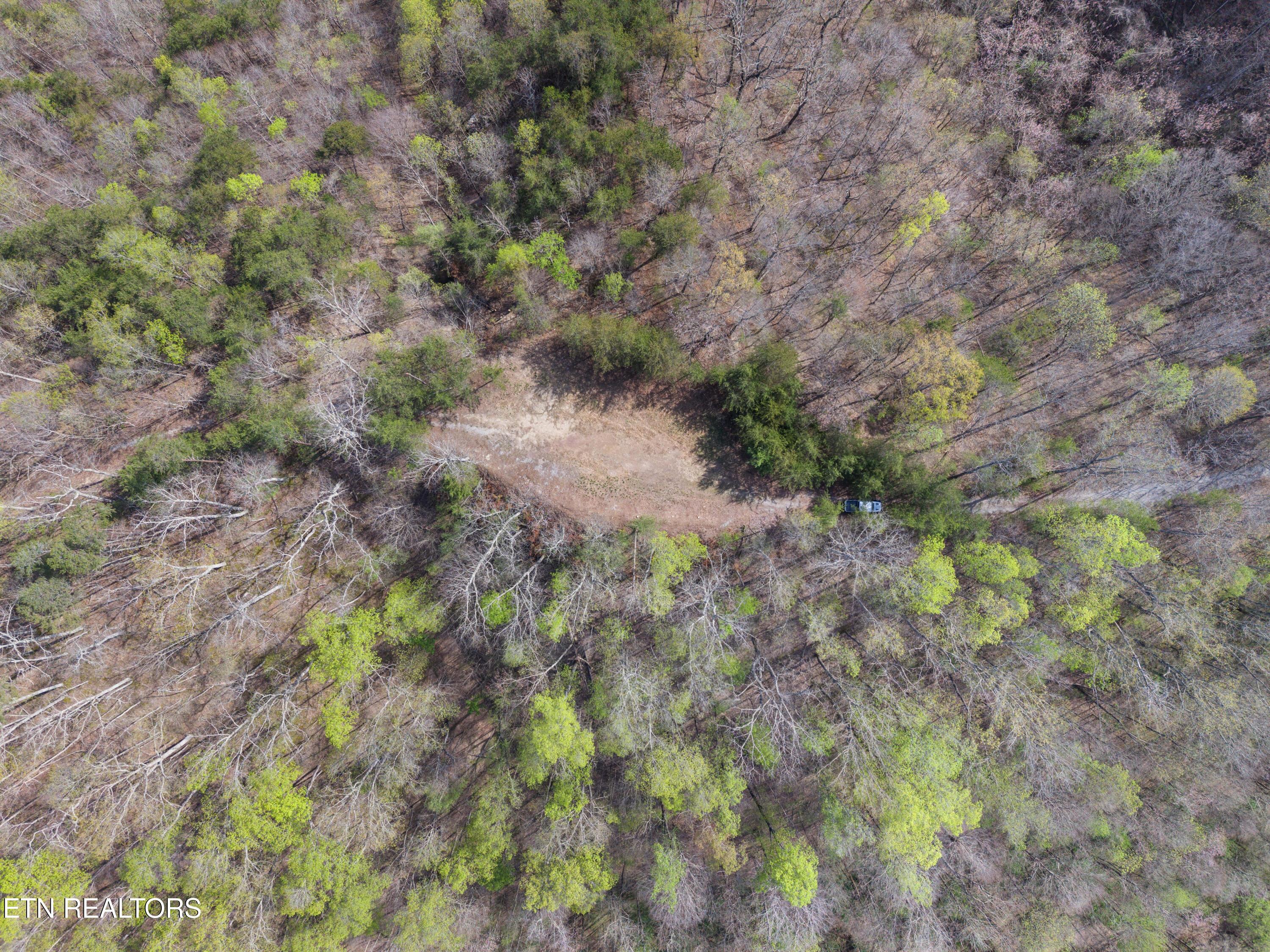 Norris Lake Real Estate - Image# 9