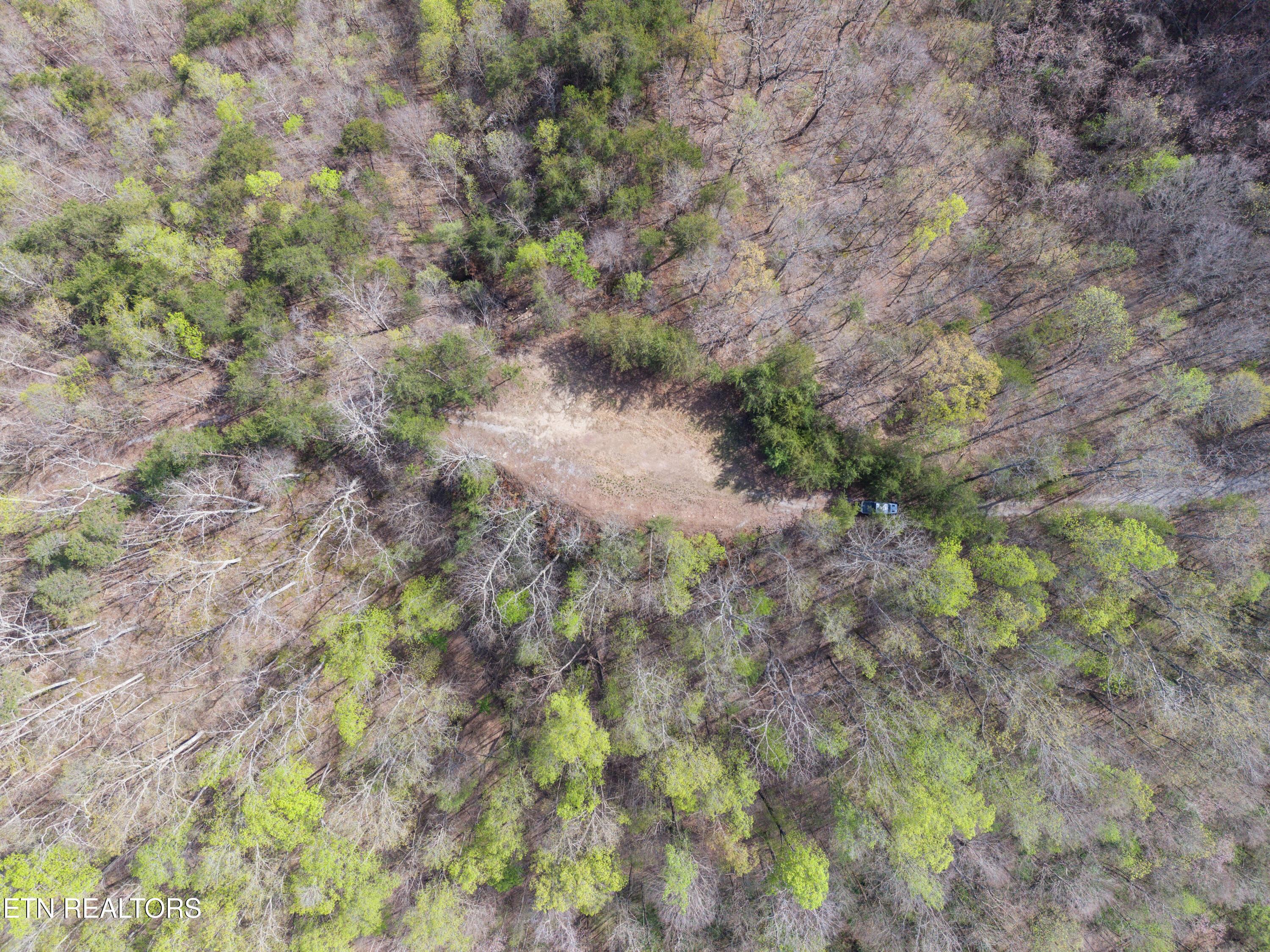 Norris Lake Real Estate - Image# 8
