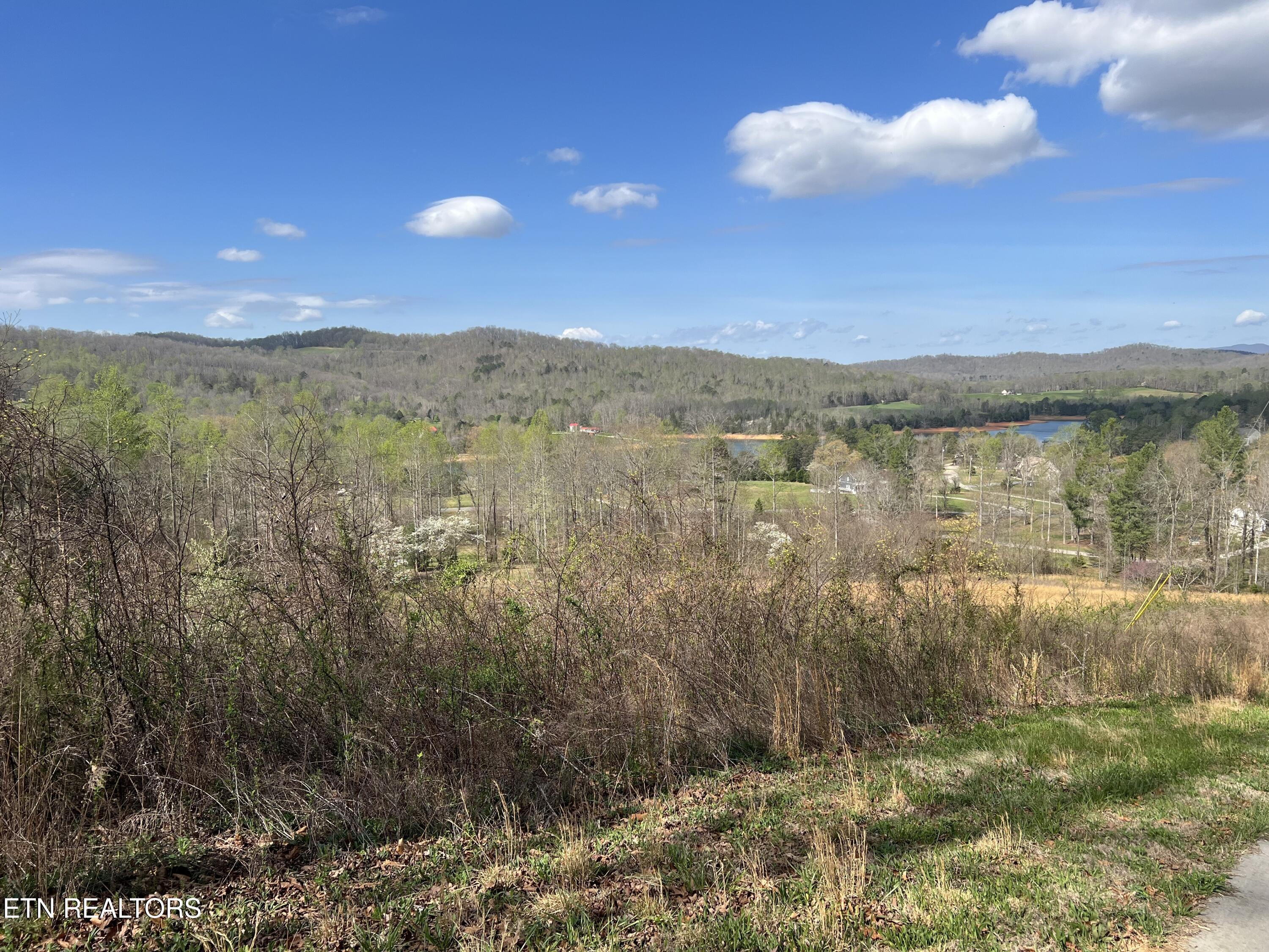 Norris Lake Real Estate - Image# 8