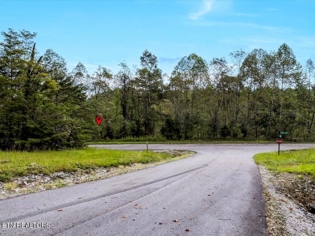 Lot 410 Mystic Star Drive, New Tazewell, TN - Norris Lake Real Estate - Image# 21