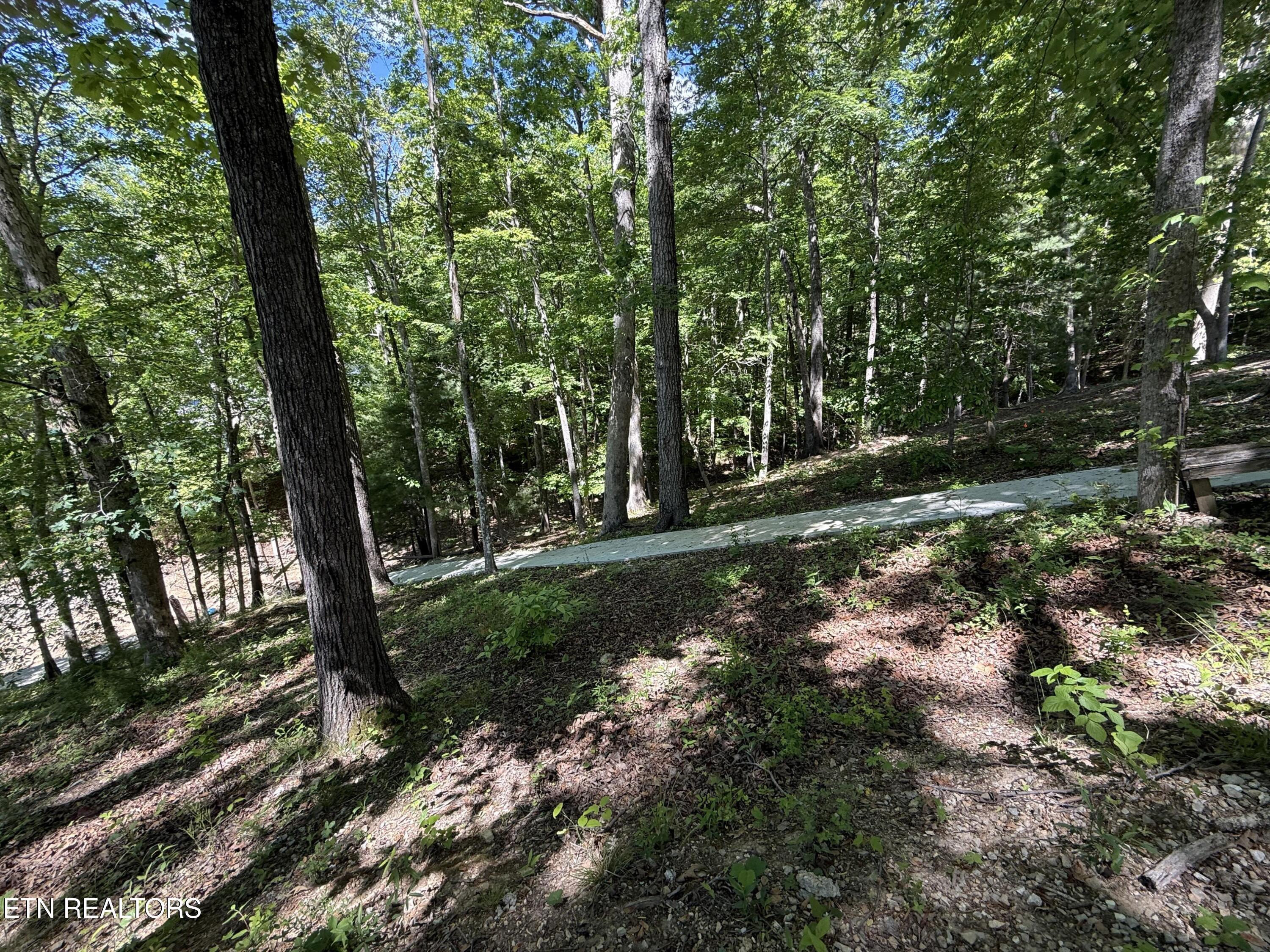 222 Big Creek Lane, Lafollette, TN - Norris Lake Real Estate - Image# 34