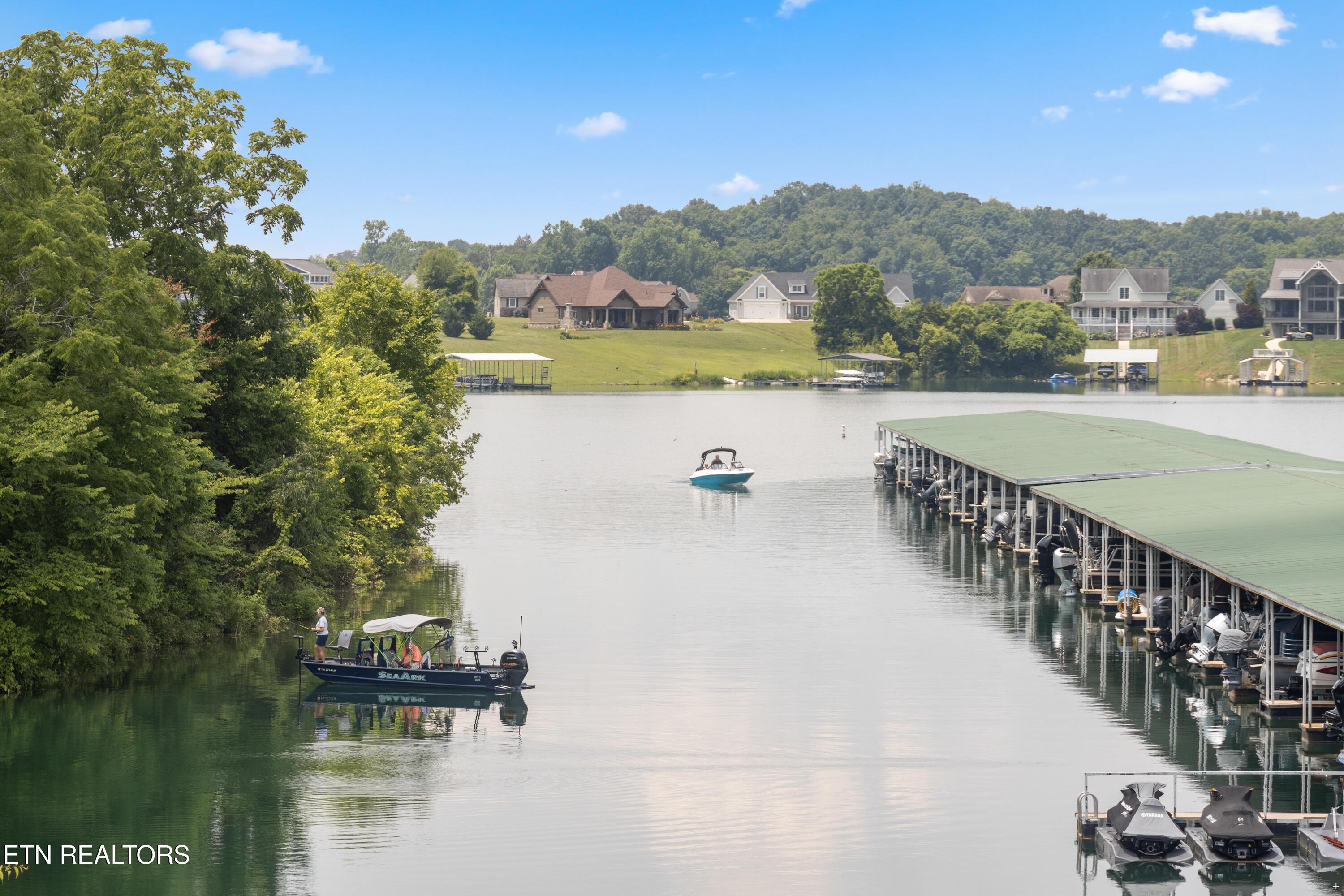 Norris Lake Real Estate - Image# 9
