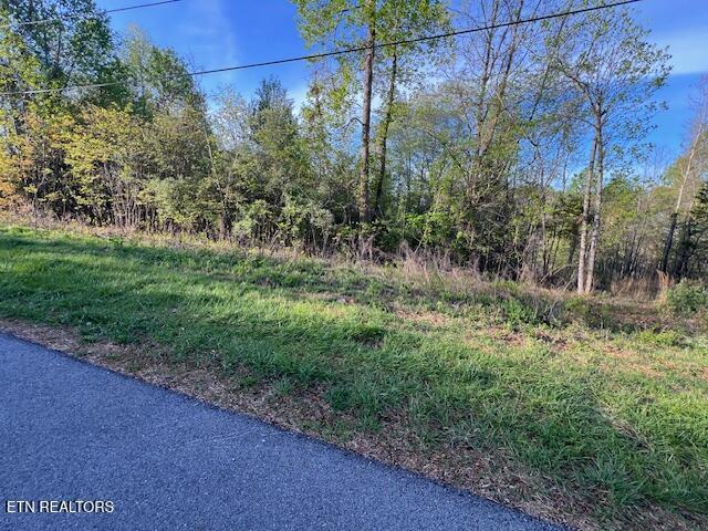 Norris Lake Real Estate - Image# 2