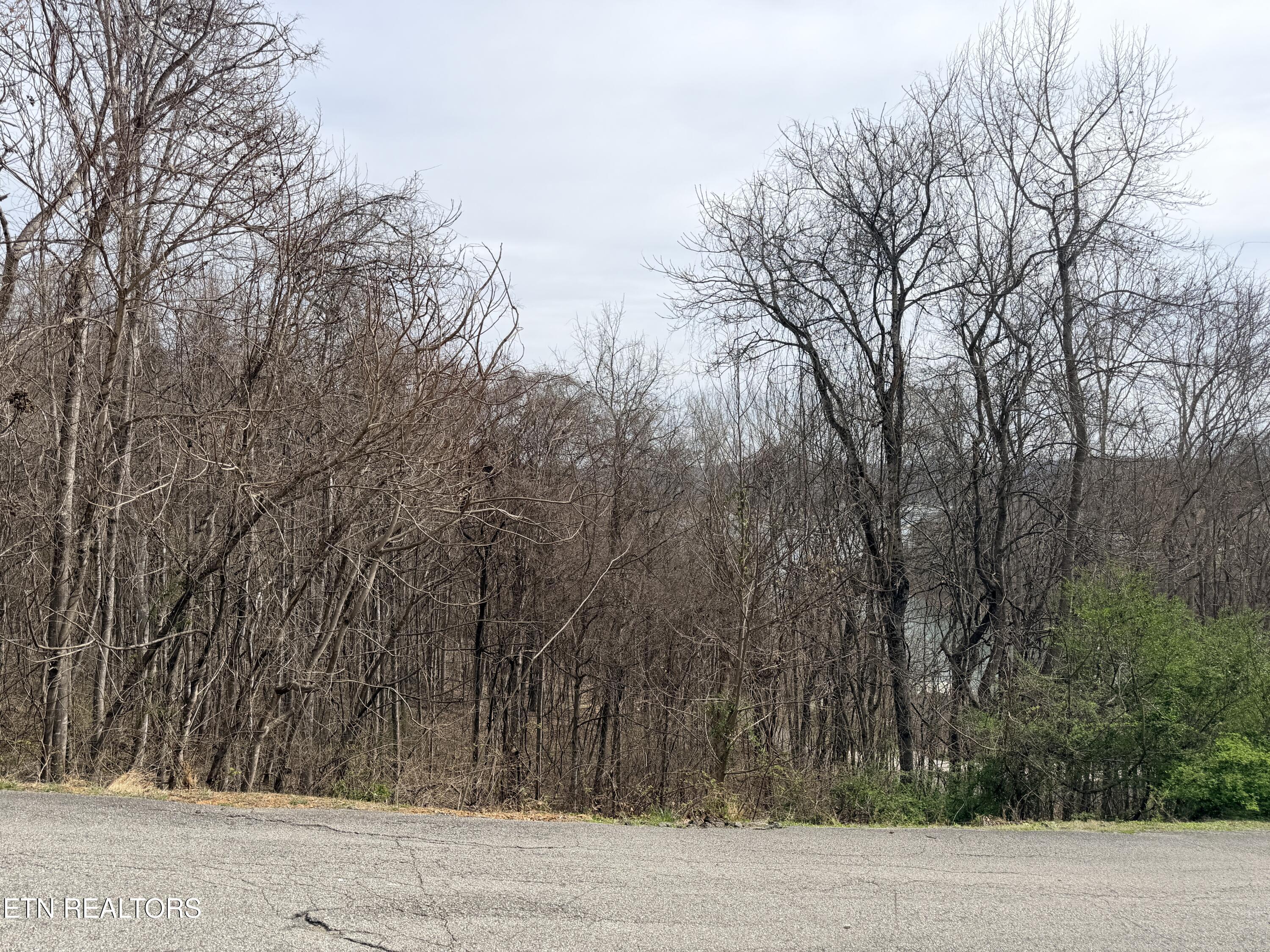 Norris Lake Real Estate - Image# 7
