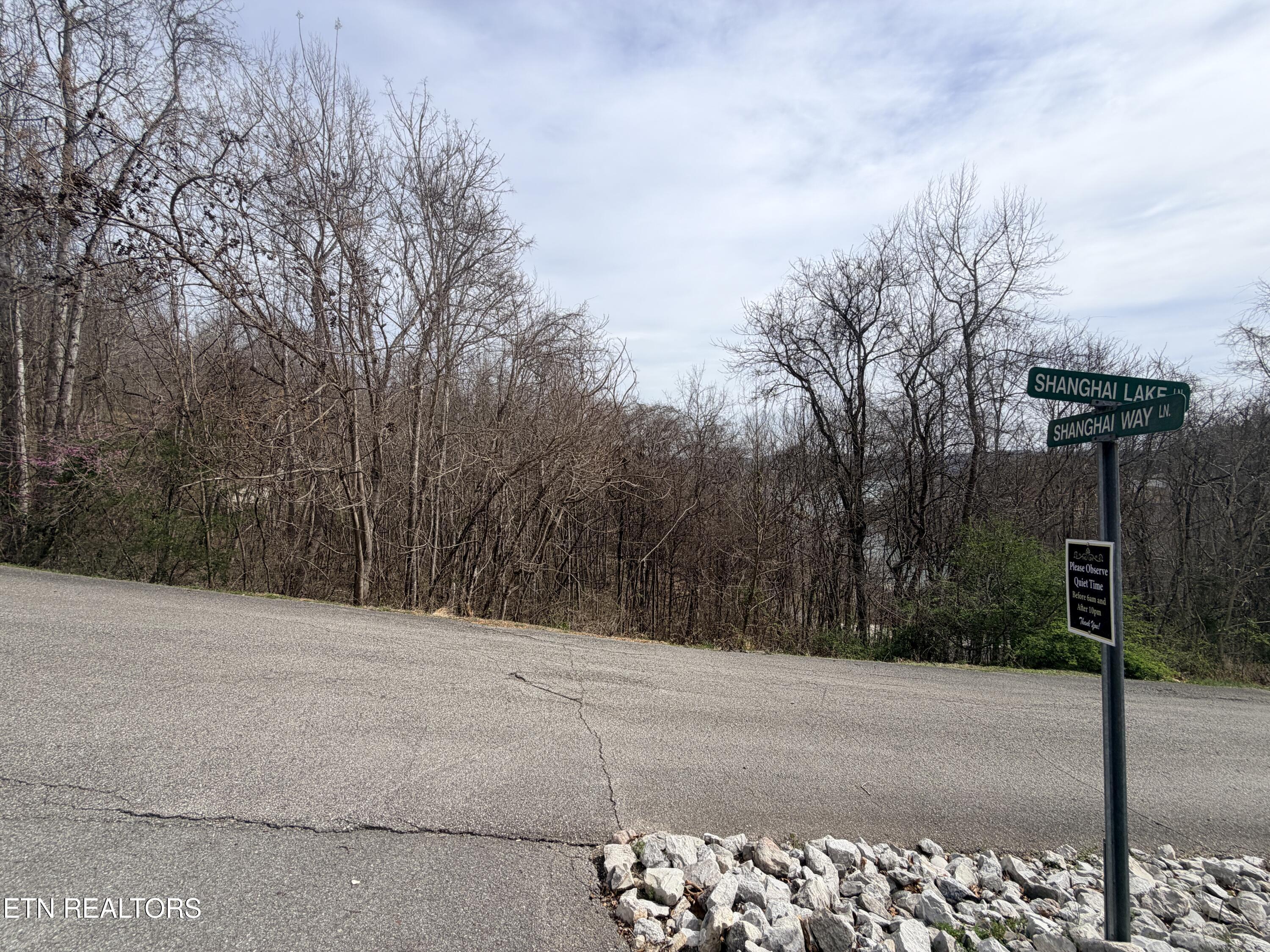 Norris Lake Real Estate - Image# 8