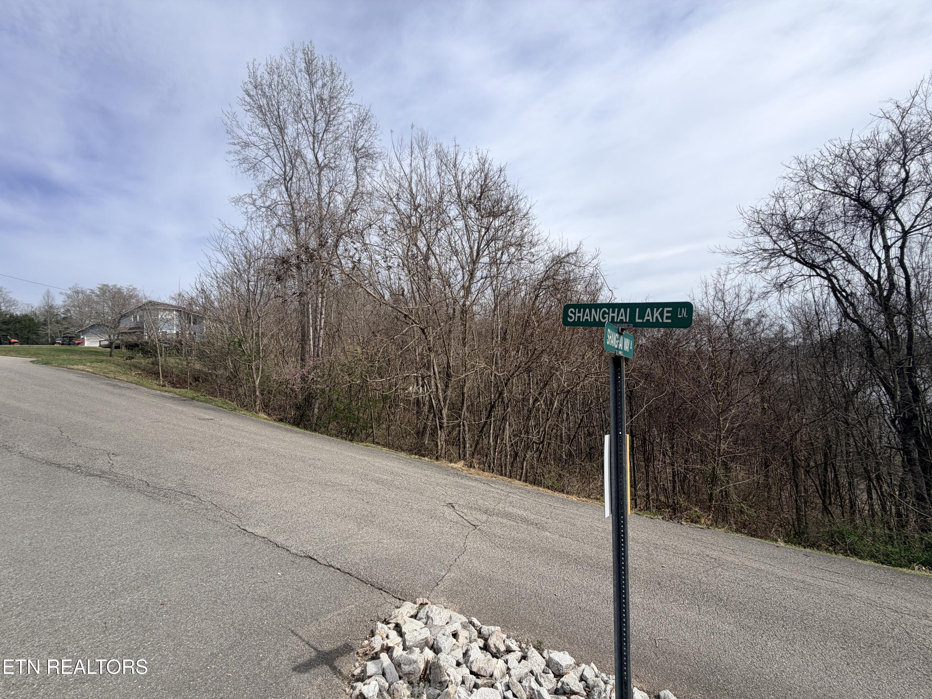 Norris Lake Real Estate - Image# 9