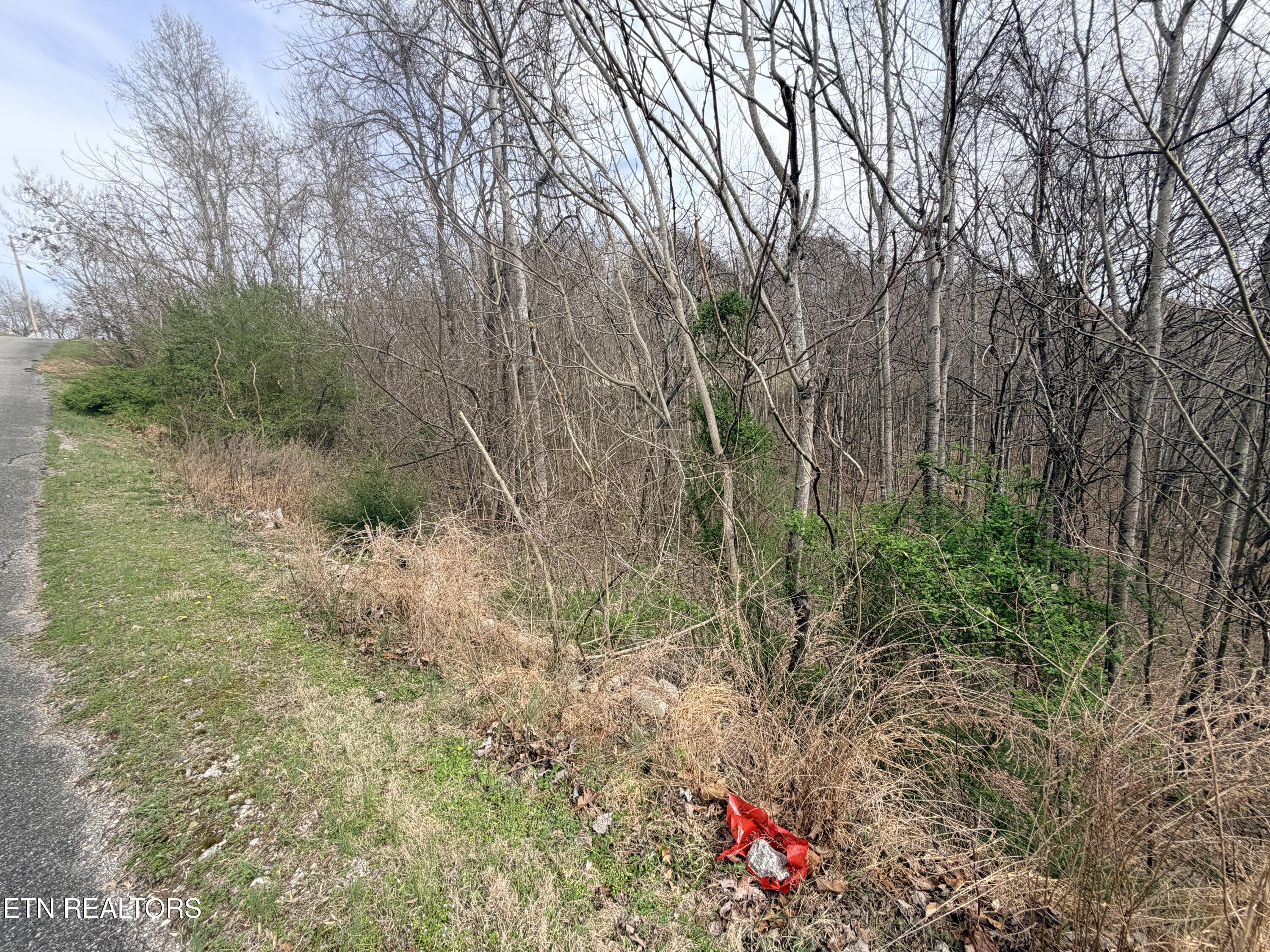 Norris Lake Real Estate - Image# 10