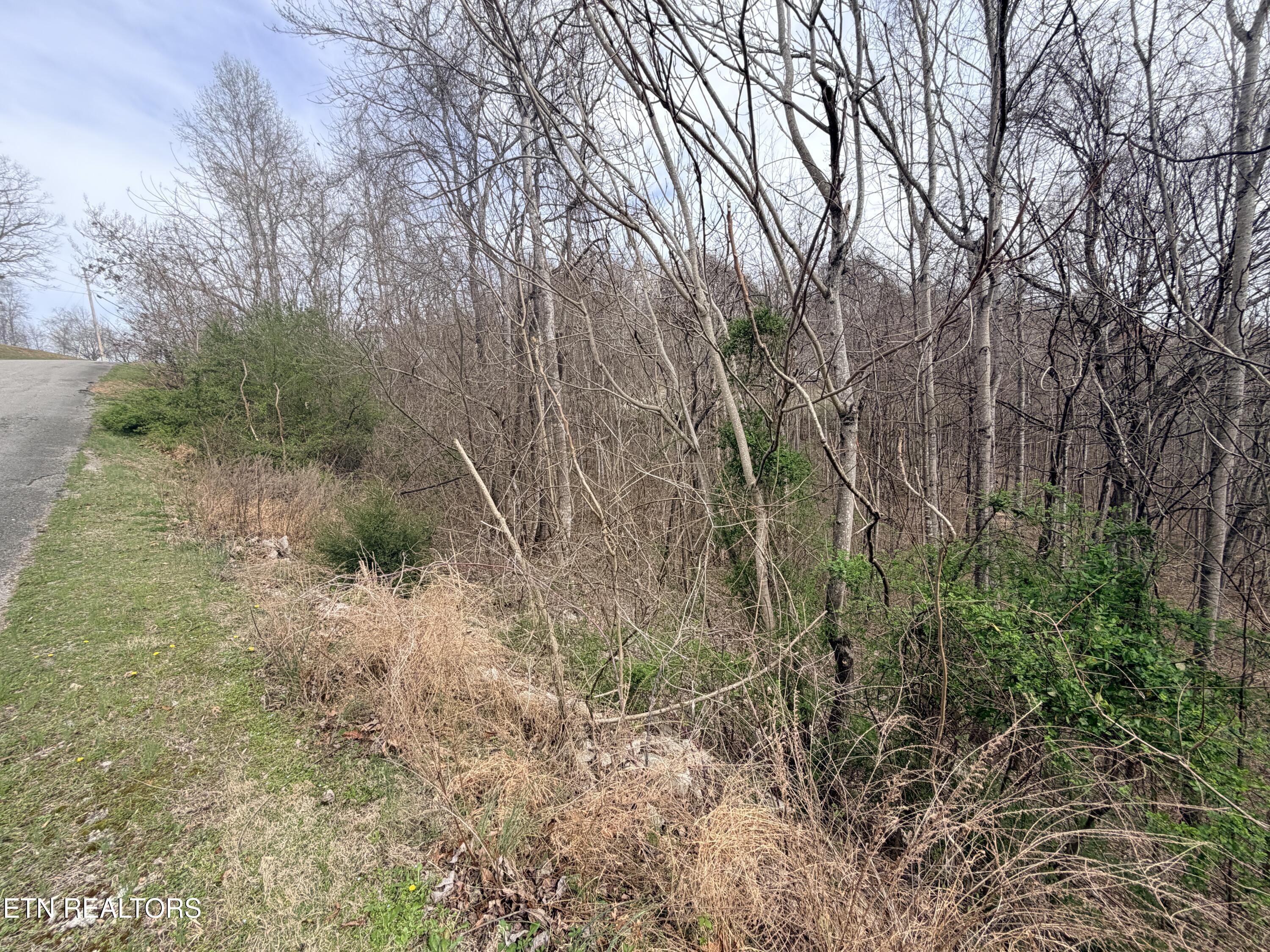 Norris Lake Real Estate - Image# 11