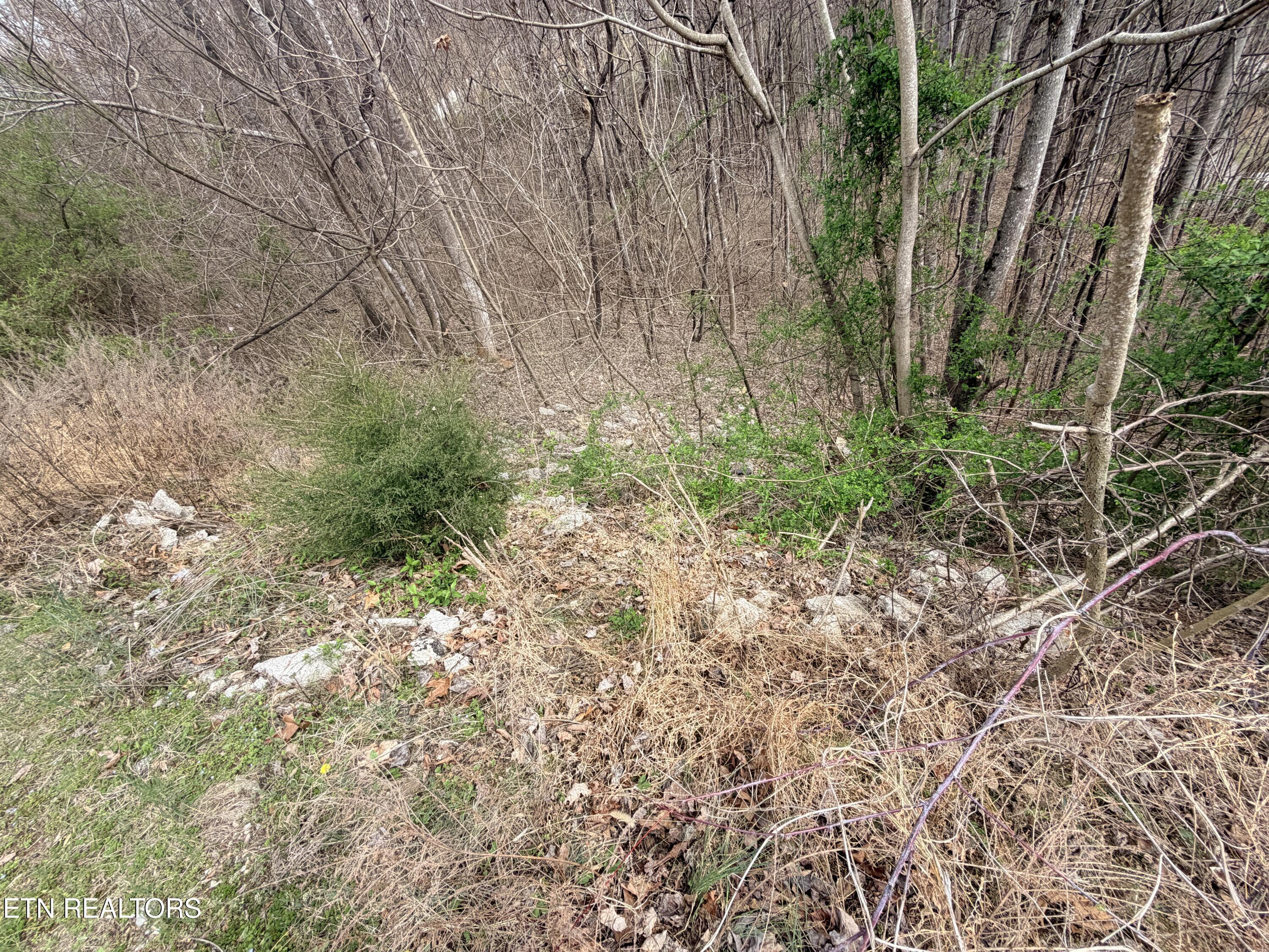 Norris Lake Real Estate - Image# 12