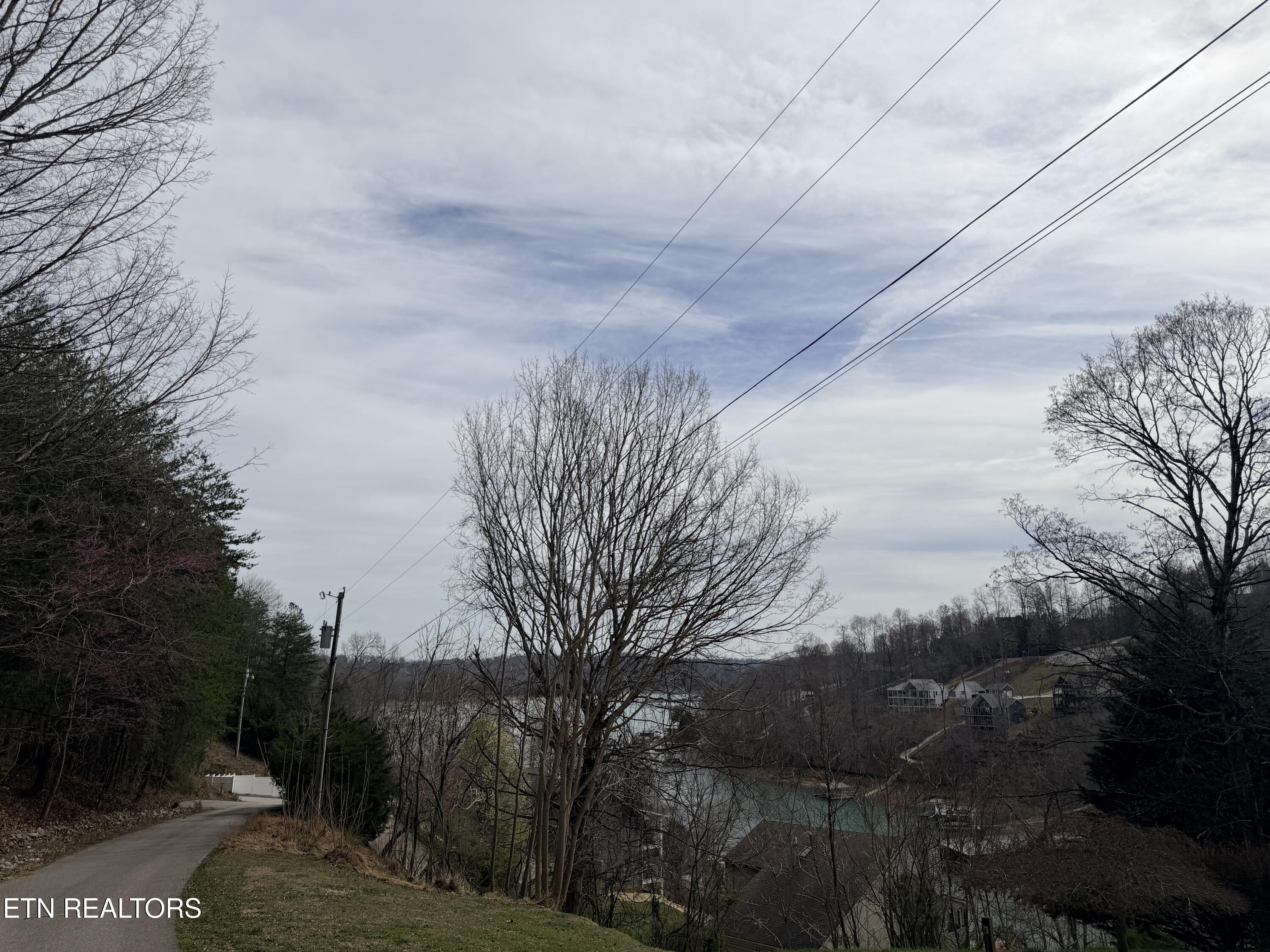 Norris Lake Real Estate - Image# 15
