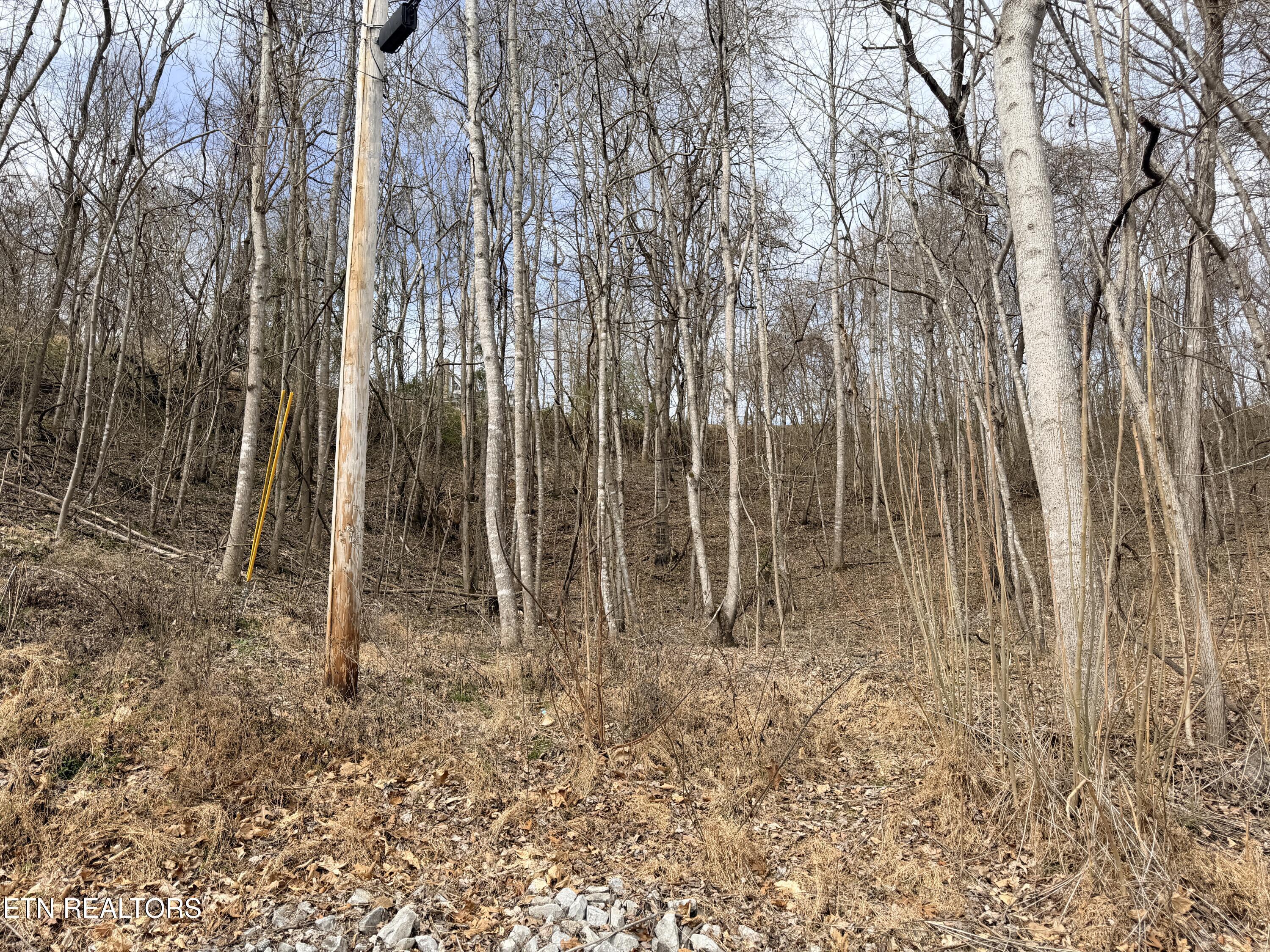 Norris Lake Real Estate - Image# 16