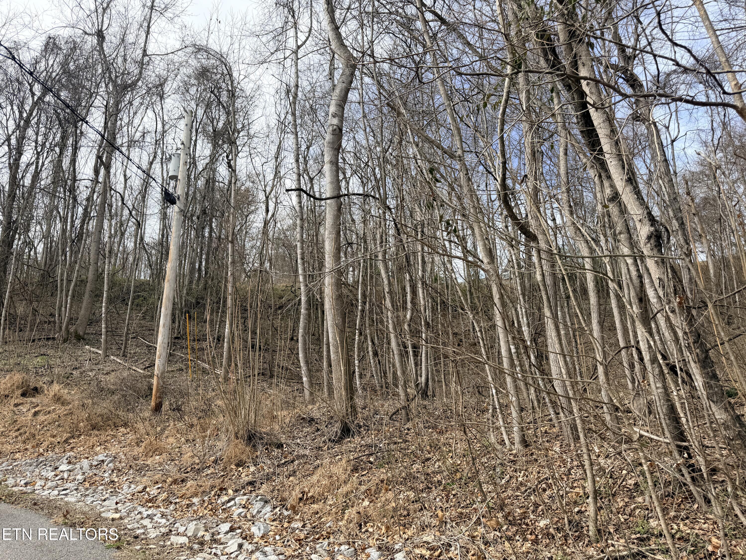 Norris Lake Real Estate - Image# 17