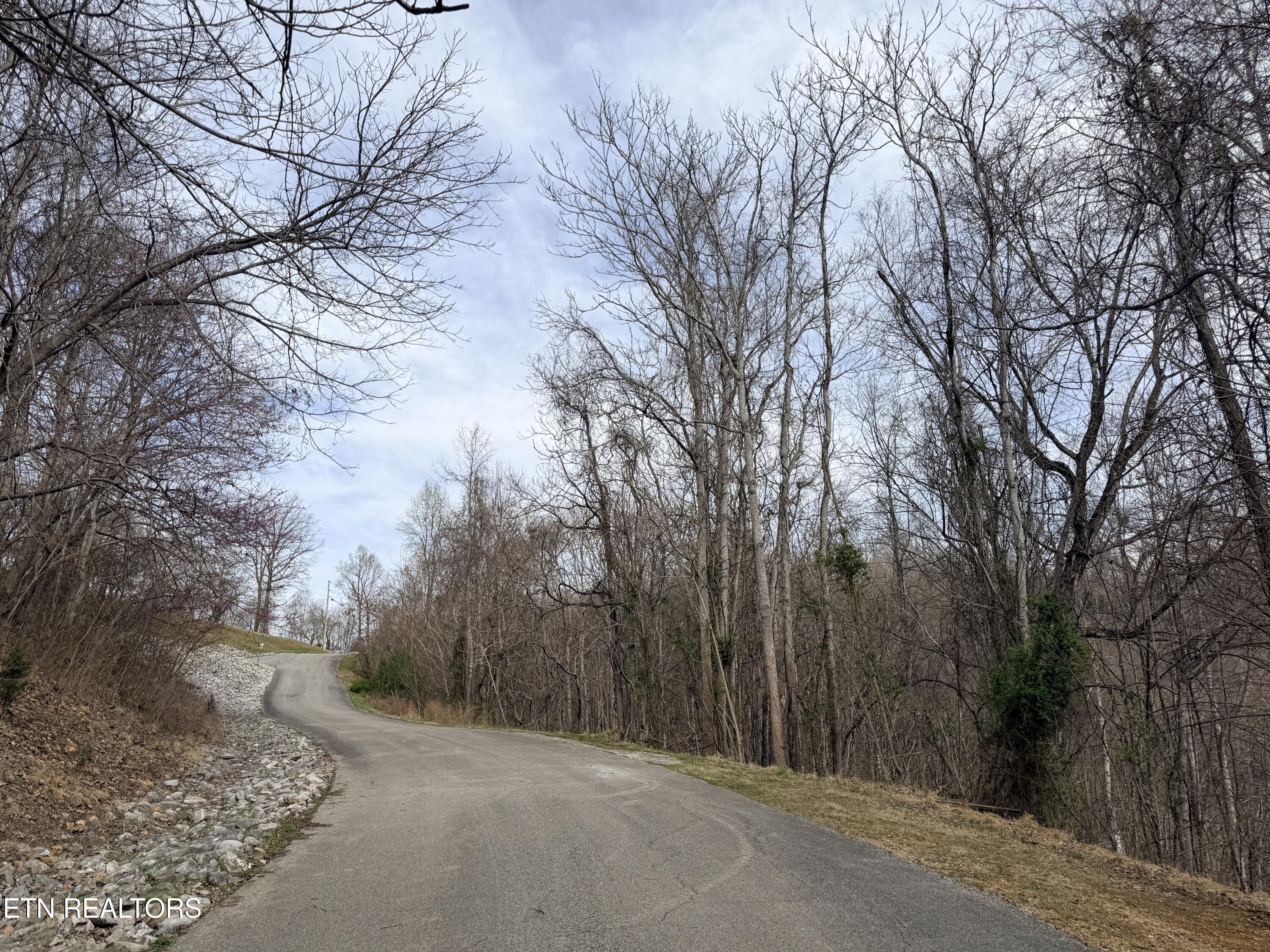 Norris Lake Real Estate - Image# 18