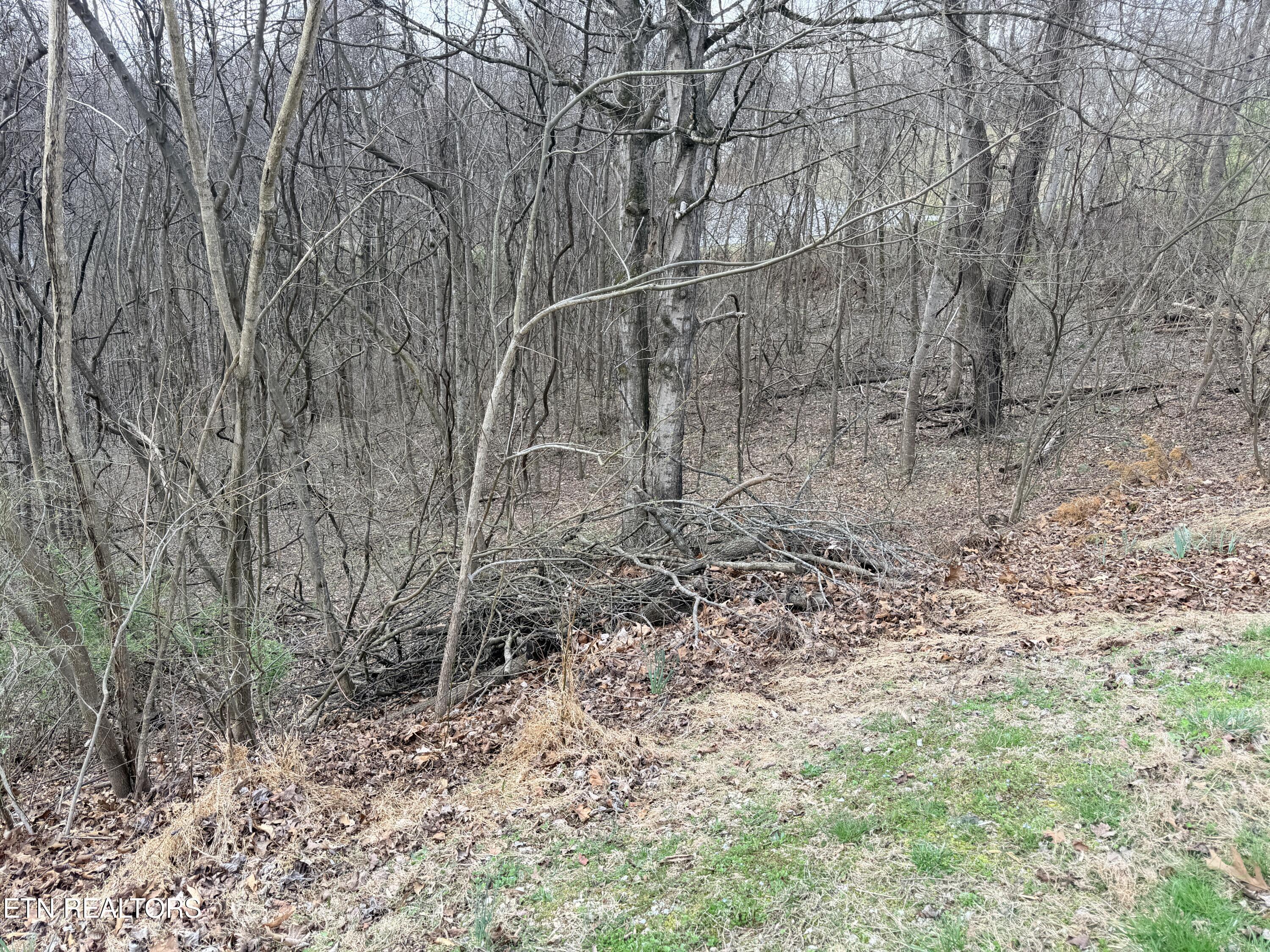 Norris Lake Real Estate - Image# 19